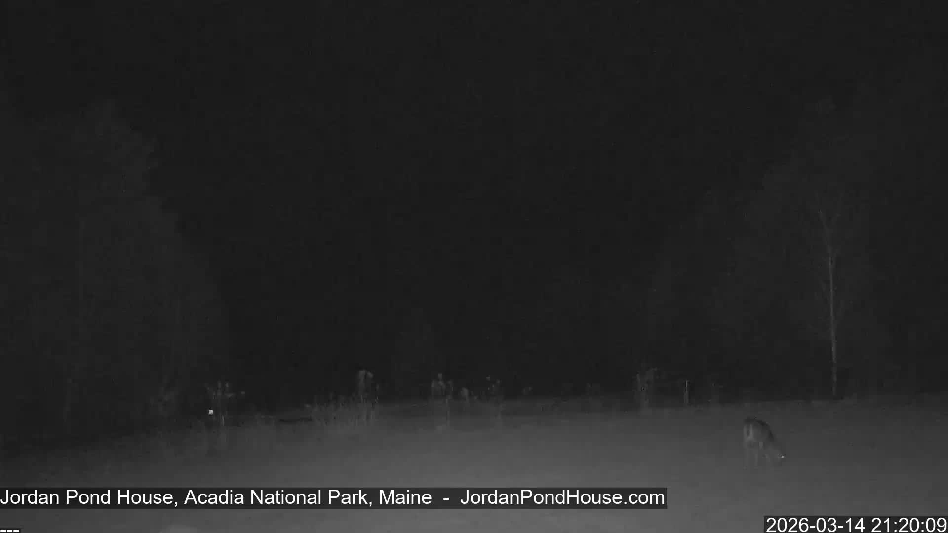 Acadia National Park, Jordan Pond Lake Live Cam - Seal Harbor, Hancock,  Maine, USA