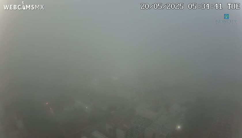 A thick fog obscures the view of an urban area at dawn.