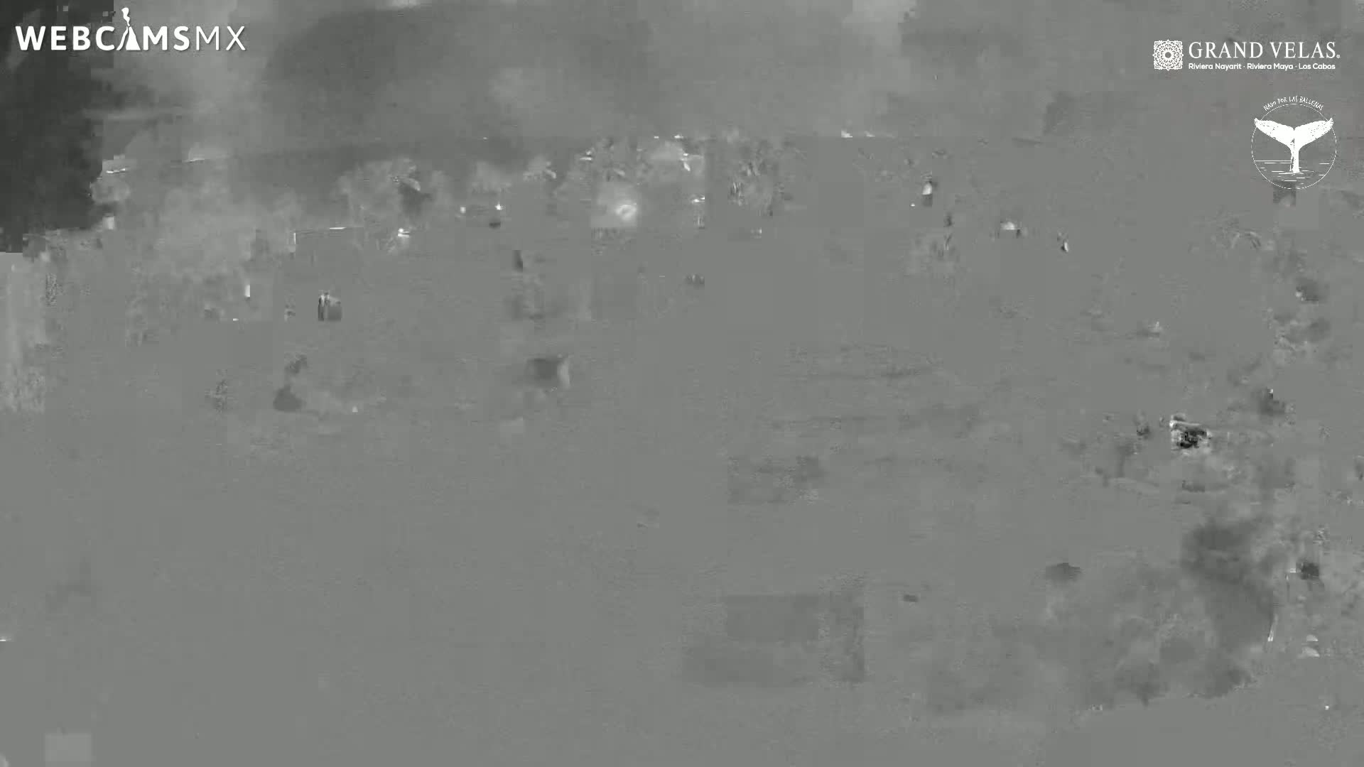 A grainy, low-light image shows a blurry, indistinct scene, possibly outdoors at night.