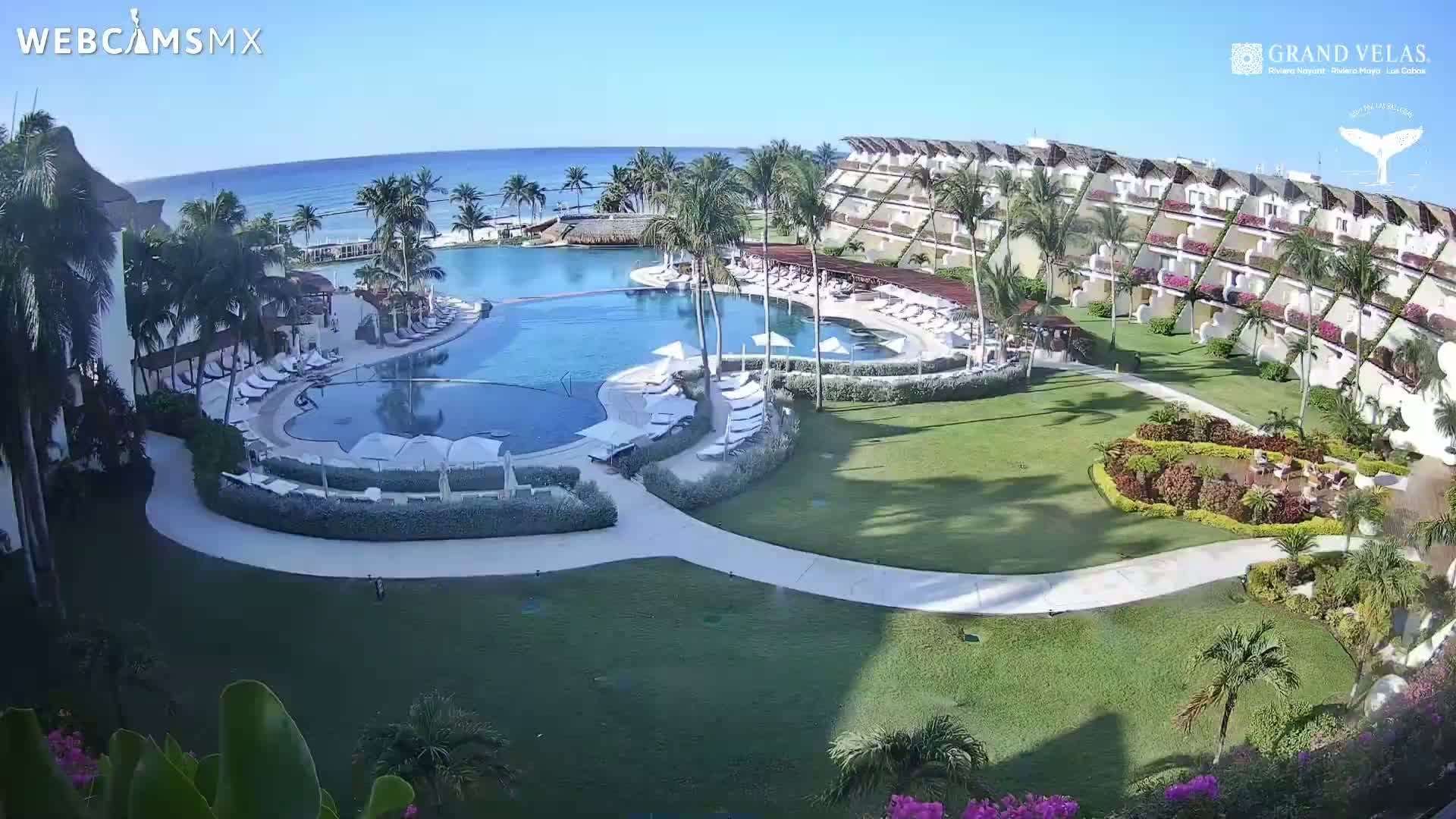 An aerial view shows a resort with a large swimming pool, surrounding lawn, and ocean in the background on a sunny day.