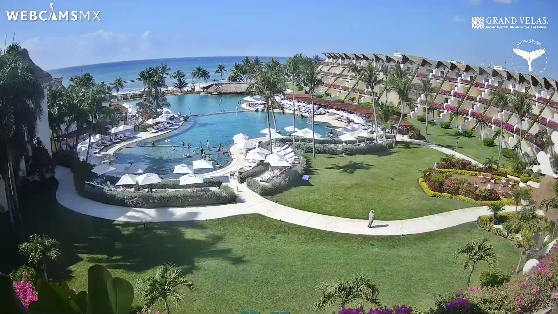 A resort pool area with surrounding buildings and landscaping, under sunny skies and a clear ocean view in the distance.