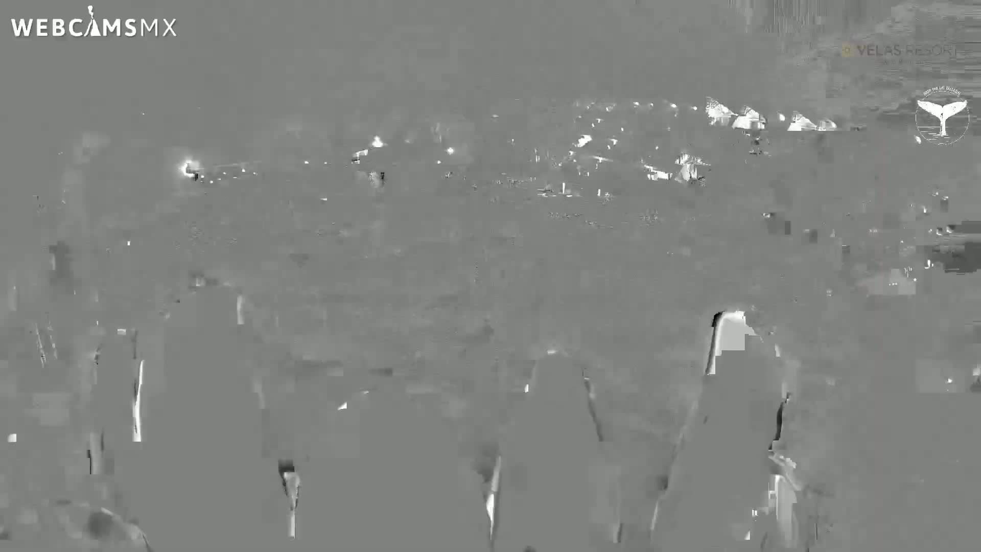 Playa Del Carmen, Playa Grand Velas Beach Live Cam - Solidaridad, Quintana Roo, Mexico
