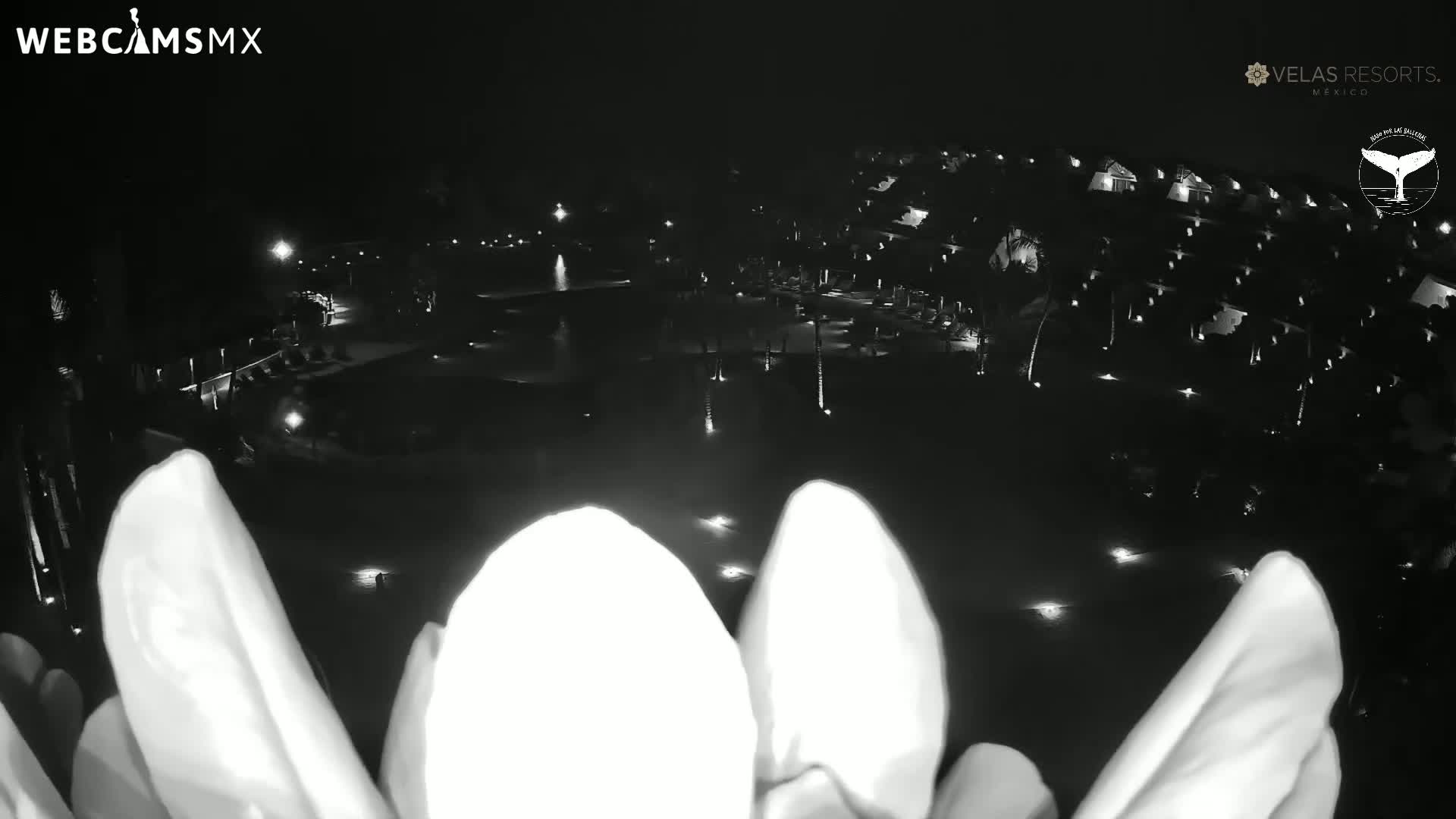 Playa Del Carmen, Playa Grand Velas Beach Live Cam - Solidaridad, Quintana Roo, Mexico