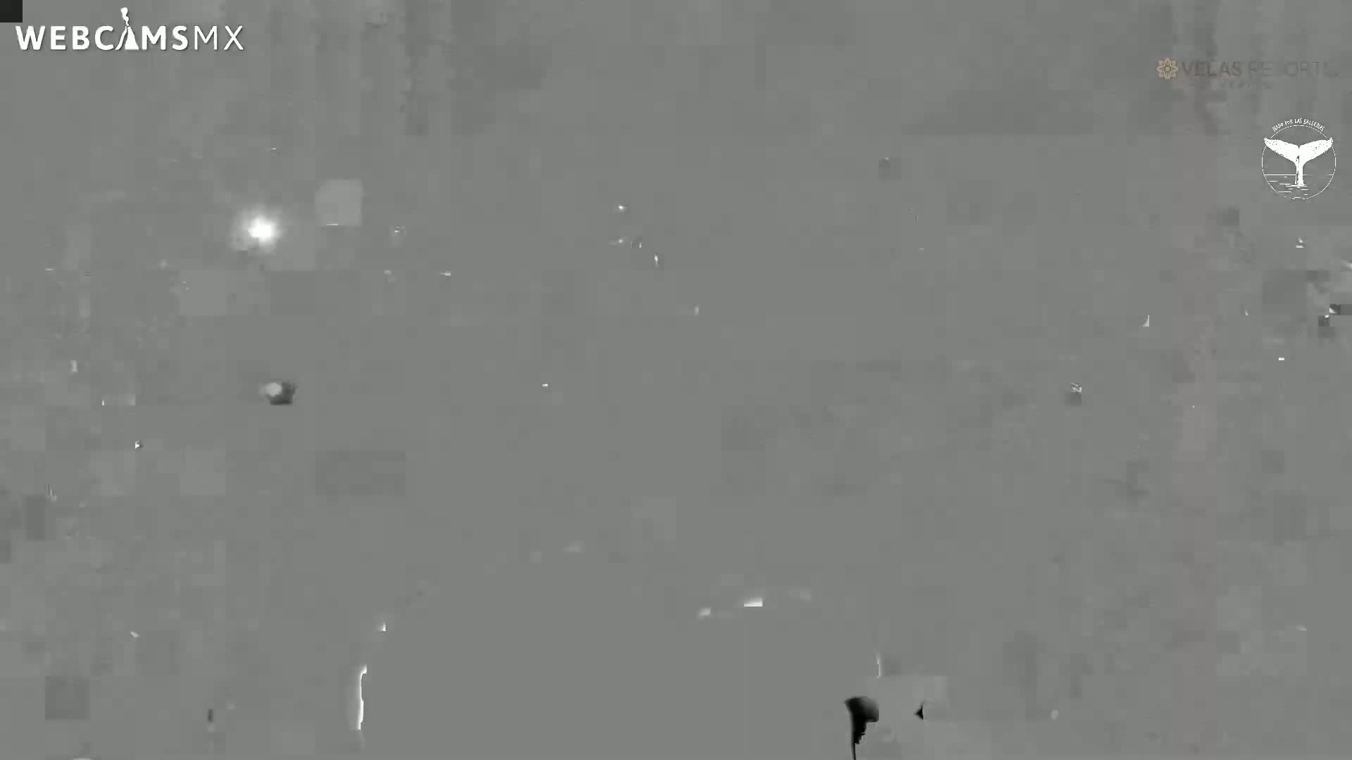 Playa Del Carmen, Playa Grand Velas Beach Live Cam - Solidaridad, Quintana Roo, Mexico