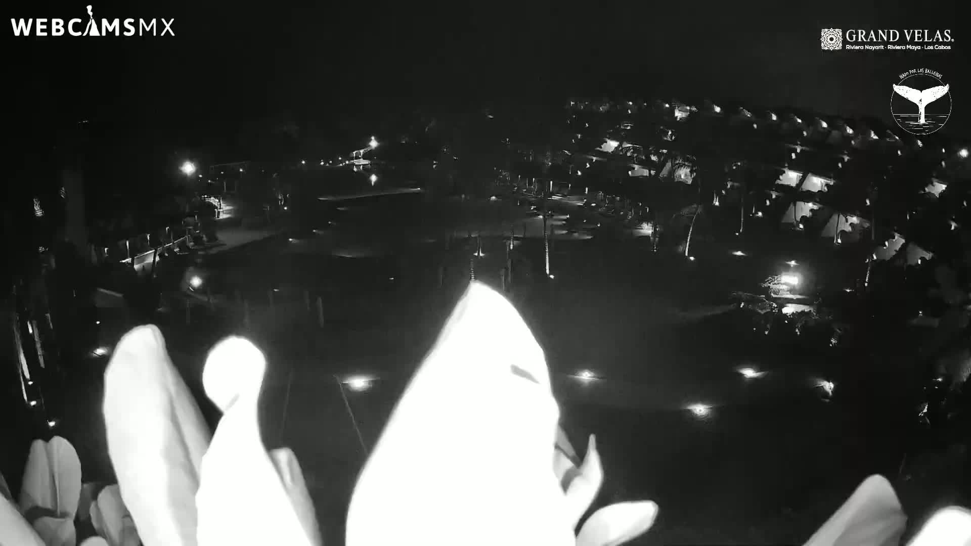 Playa Del Carmen, Playa Grand Velas Beach Live Cam - Solidaridad, Quintana Roo, Mexico