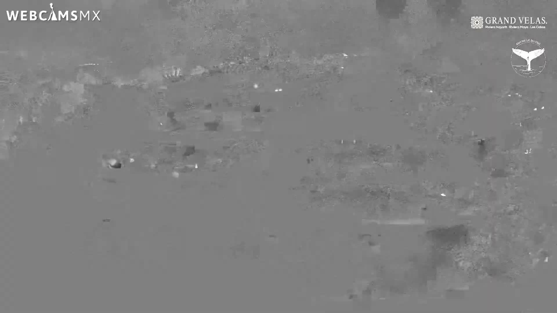 Playa Del Carmen, Playa Grand Velas Beach Live Cam - Solidaridad, Quintana Roo, Mexico