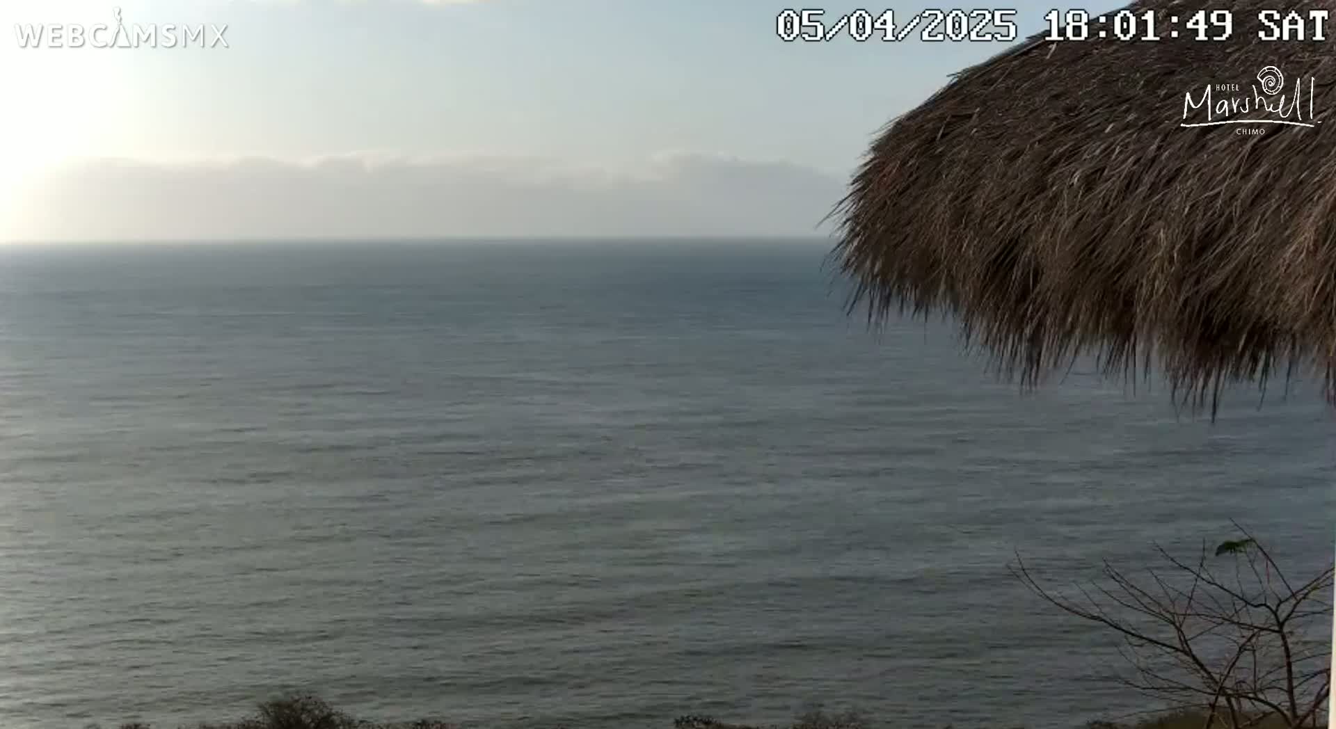 A calm ocean is visible under a hazy sky, partially obscured by a thatched roof.