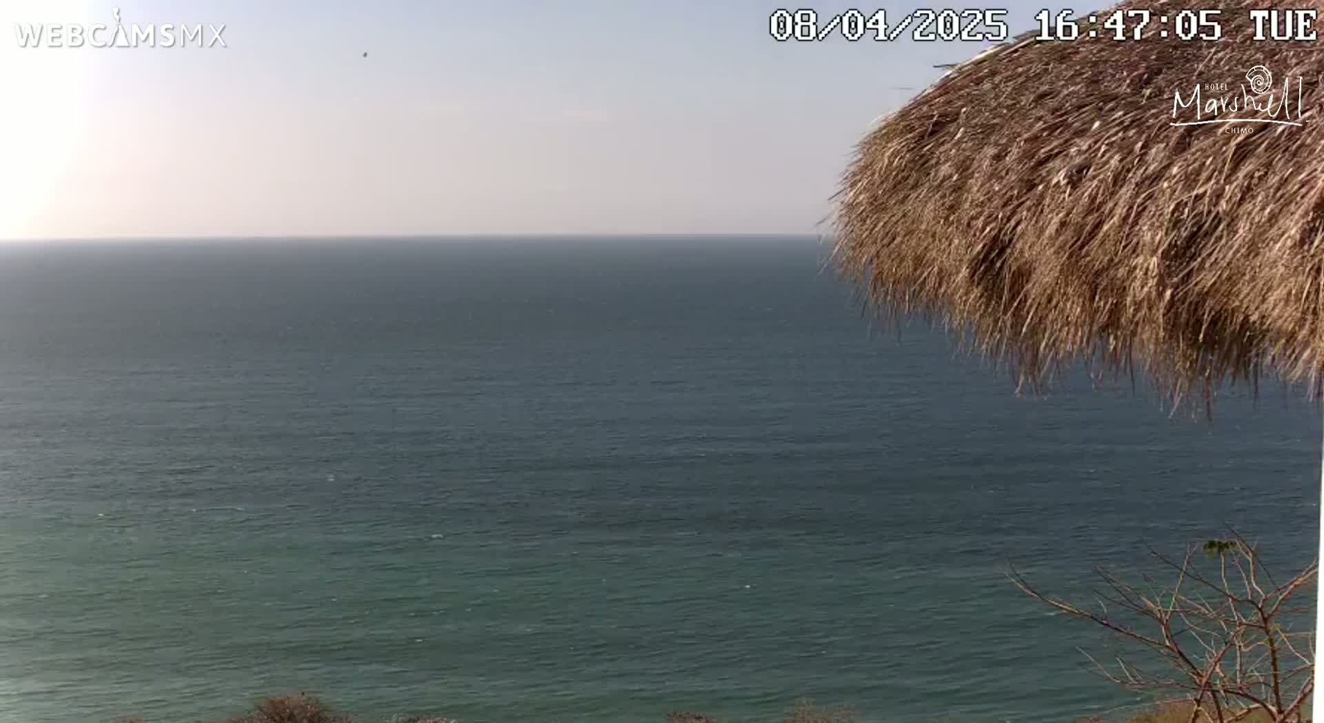 A calm ocean is viewed from a high vantage point under a partly sunny sky, partially obscured by a thatched roof.