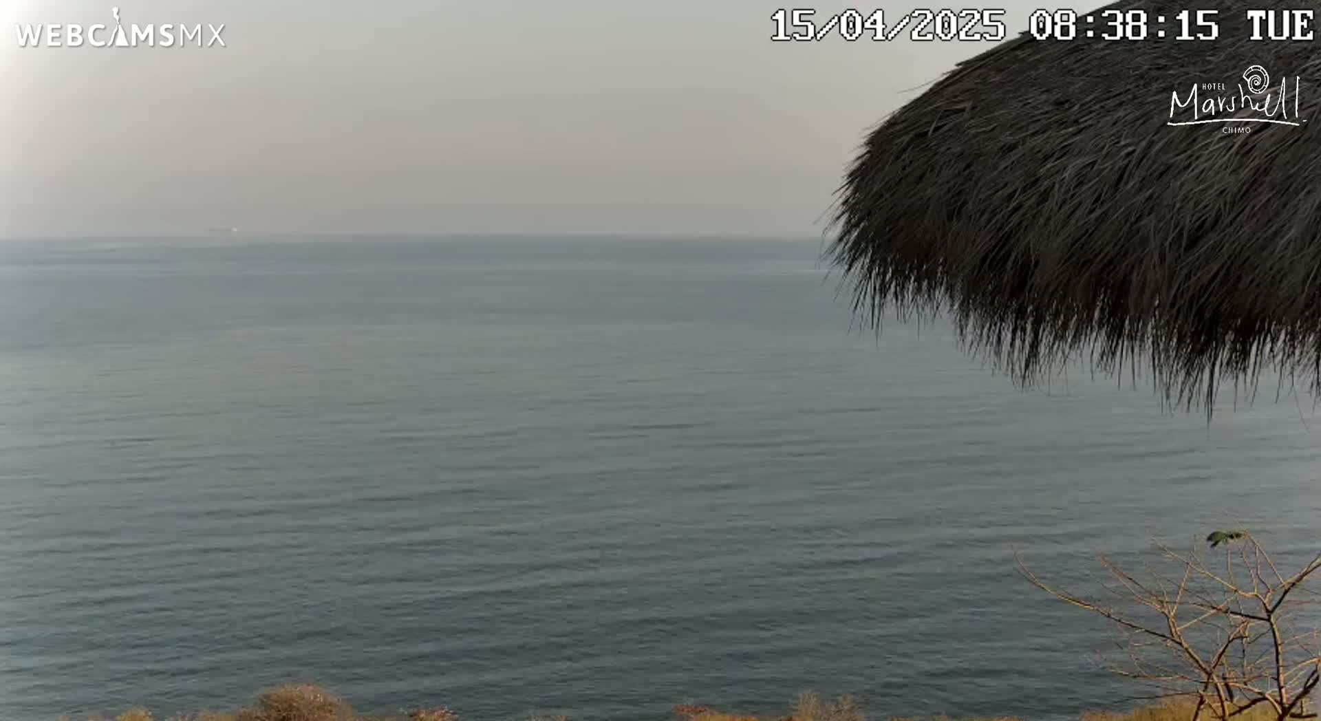A calm, hazy ocean is viewed from a high vantage point, partially obscured by a thatched roof structure and a bare tree in the foreground.