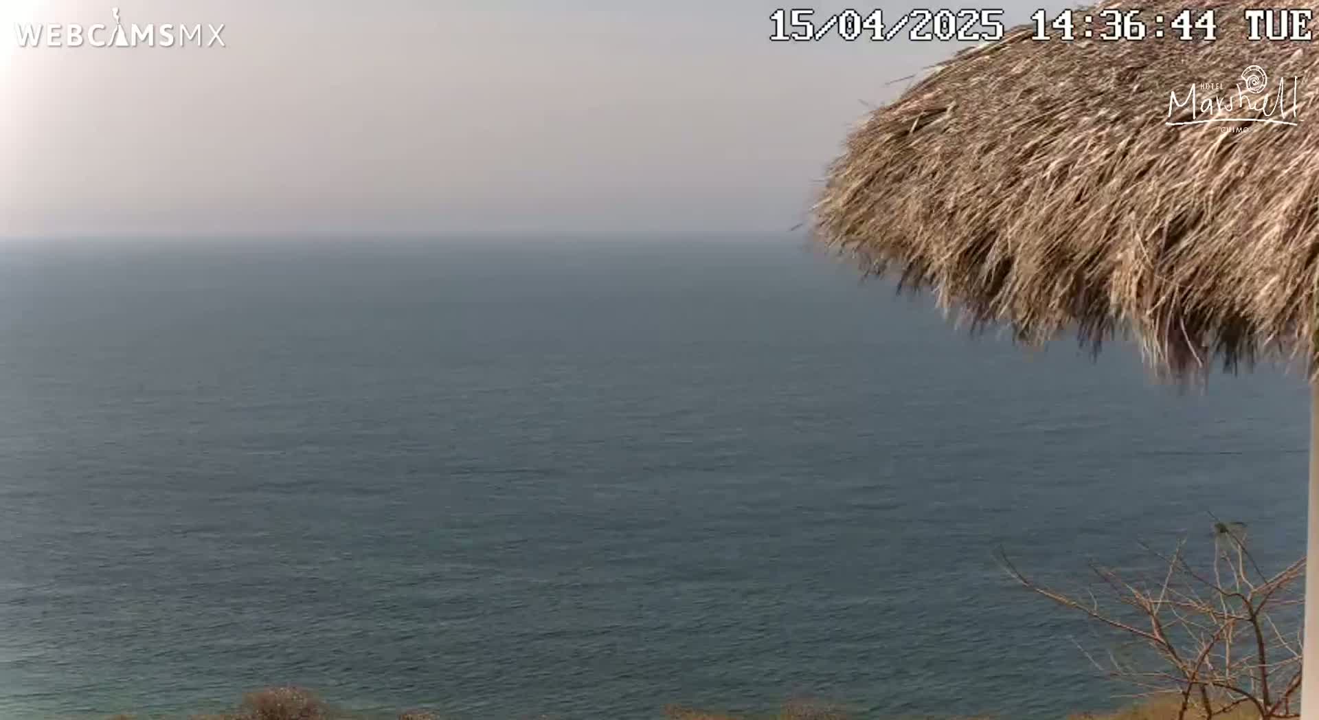 A hazy view of a calm ocean is seen from under a thatched roof.