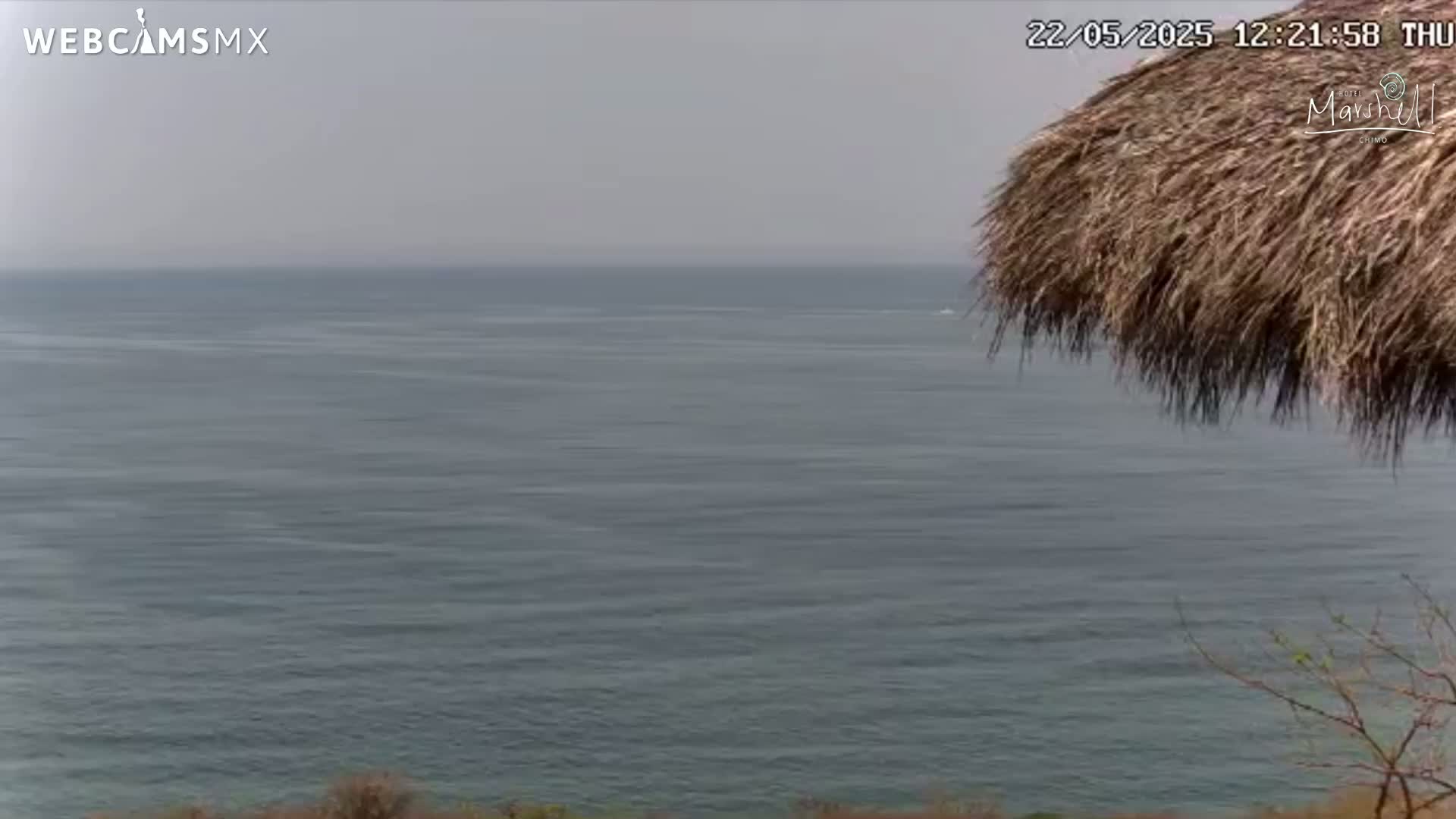 A calm, gray ocean is visible beneath an overcast sky, partially obscured by a thatched roof structure and some sparse vegetation.