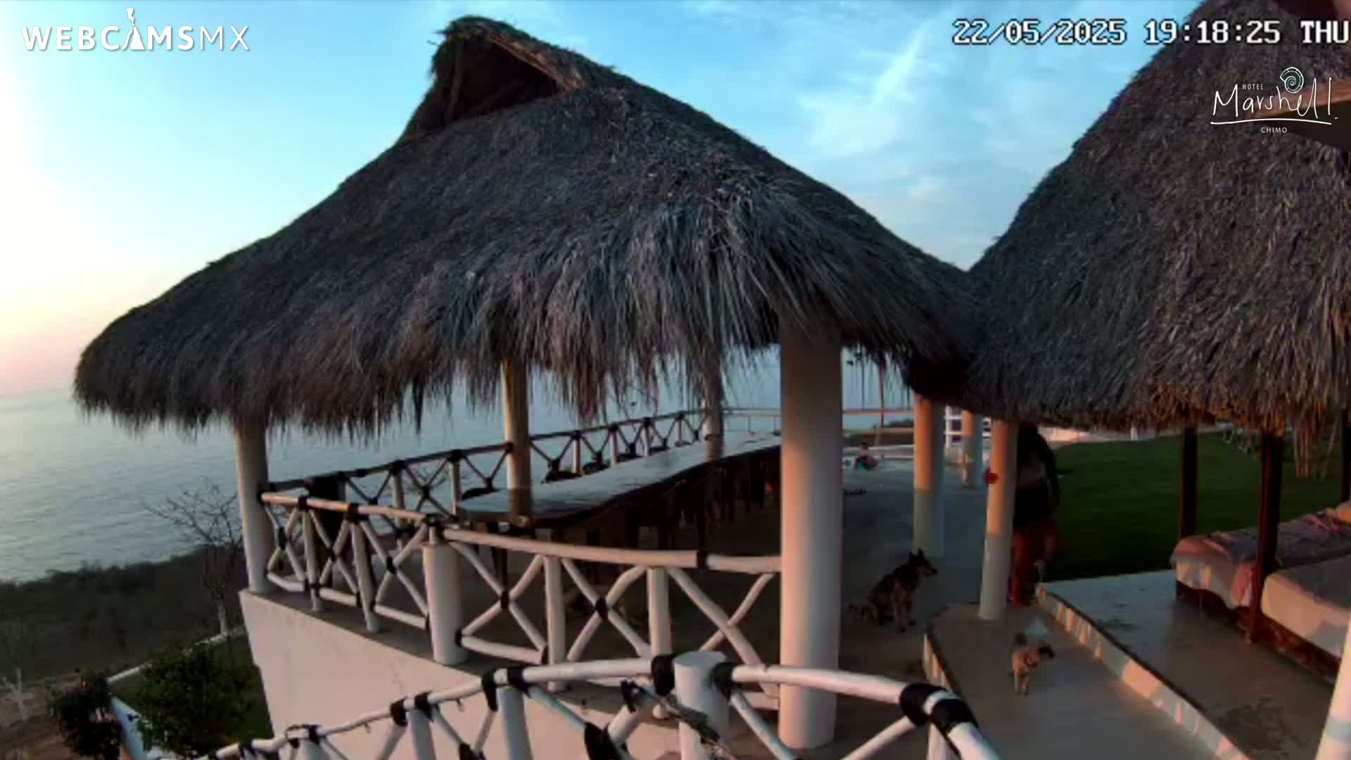 Two thatched-roof gazebos overlook a calm ocean at sunset, with two dogs near the lower level.