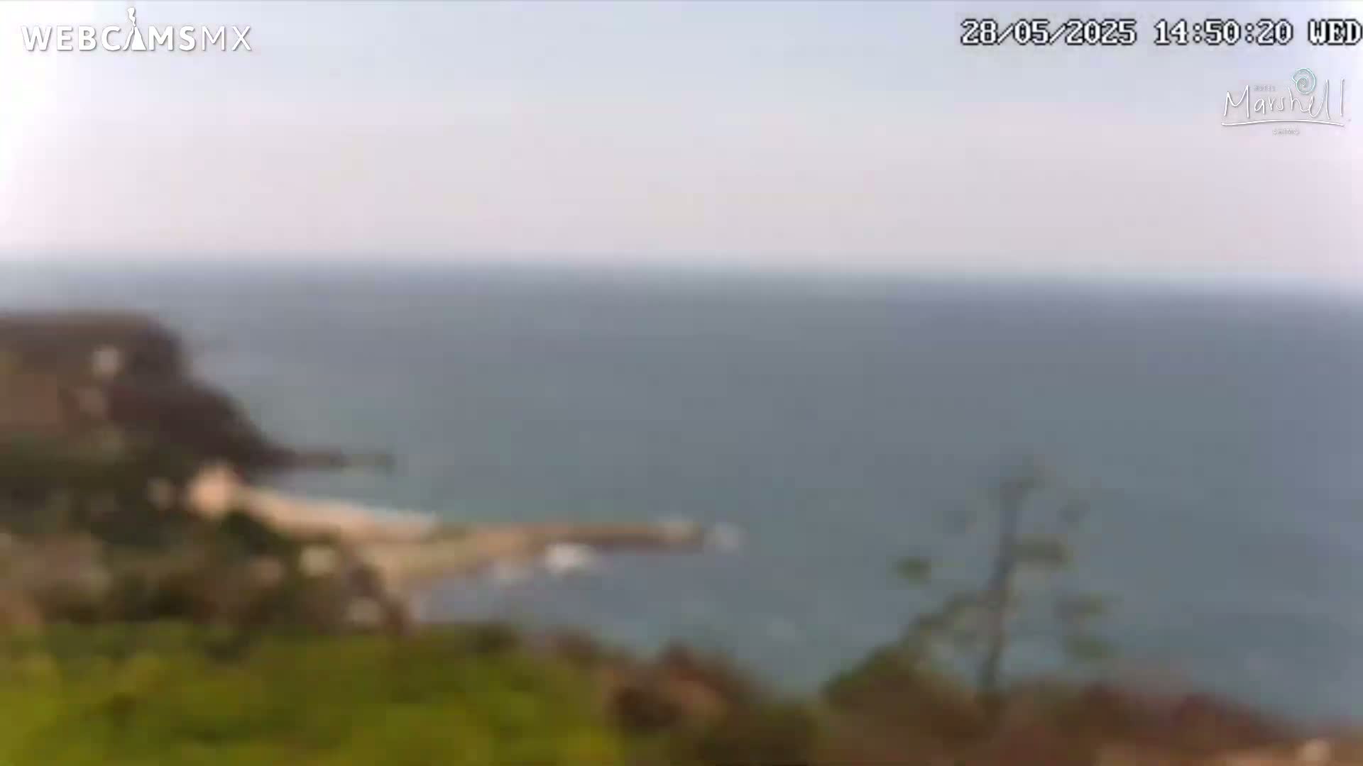 A blurry, overcast view shows a rocky coastline with green vegetation overlooking a calm ocean.