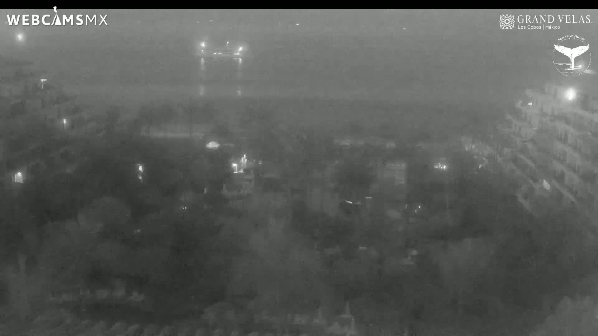 A nighttime, hazy view shows a collection of buildings and trees with scattered lights visible.
