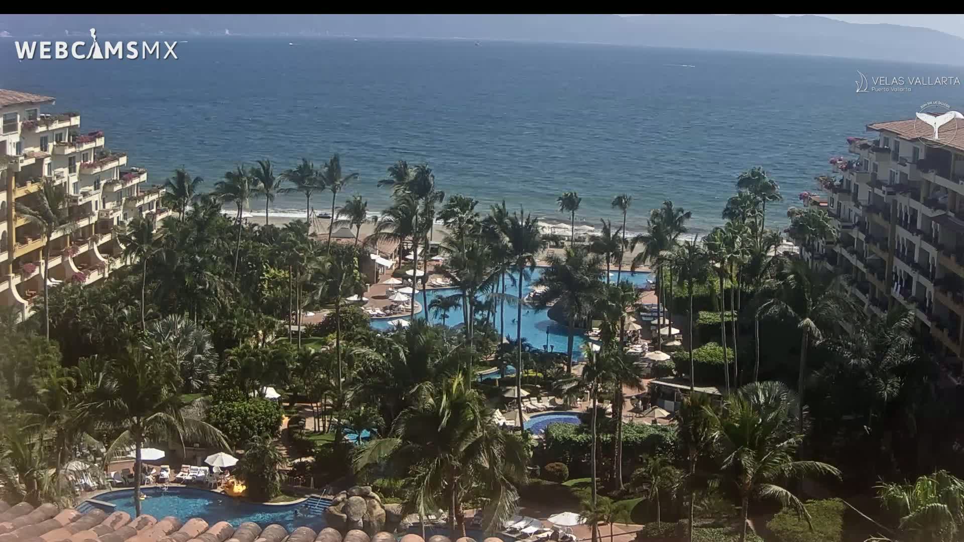 A resort with multiple pools surrounded by lush tropical vegetation overlooks a calm ocean on a sunny day.