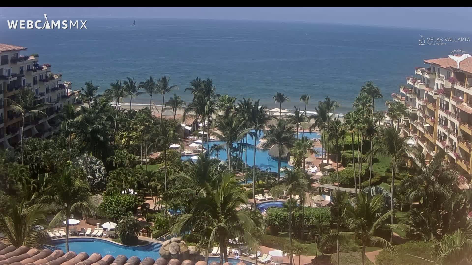 An aerial view shows a resort with multiple pools surrounded by lush tropical vegetation and palm trees, overlooking a calm ocean on a sunny day.