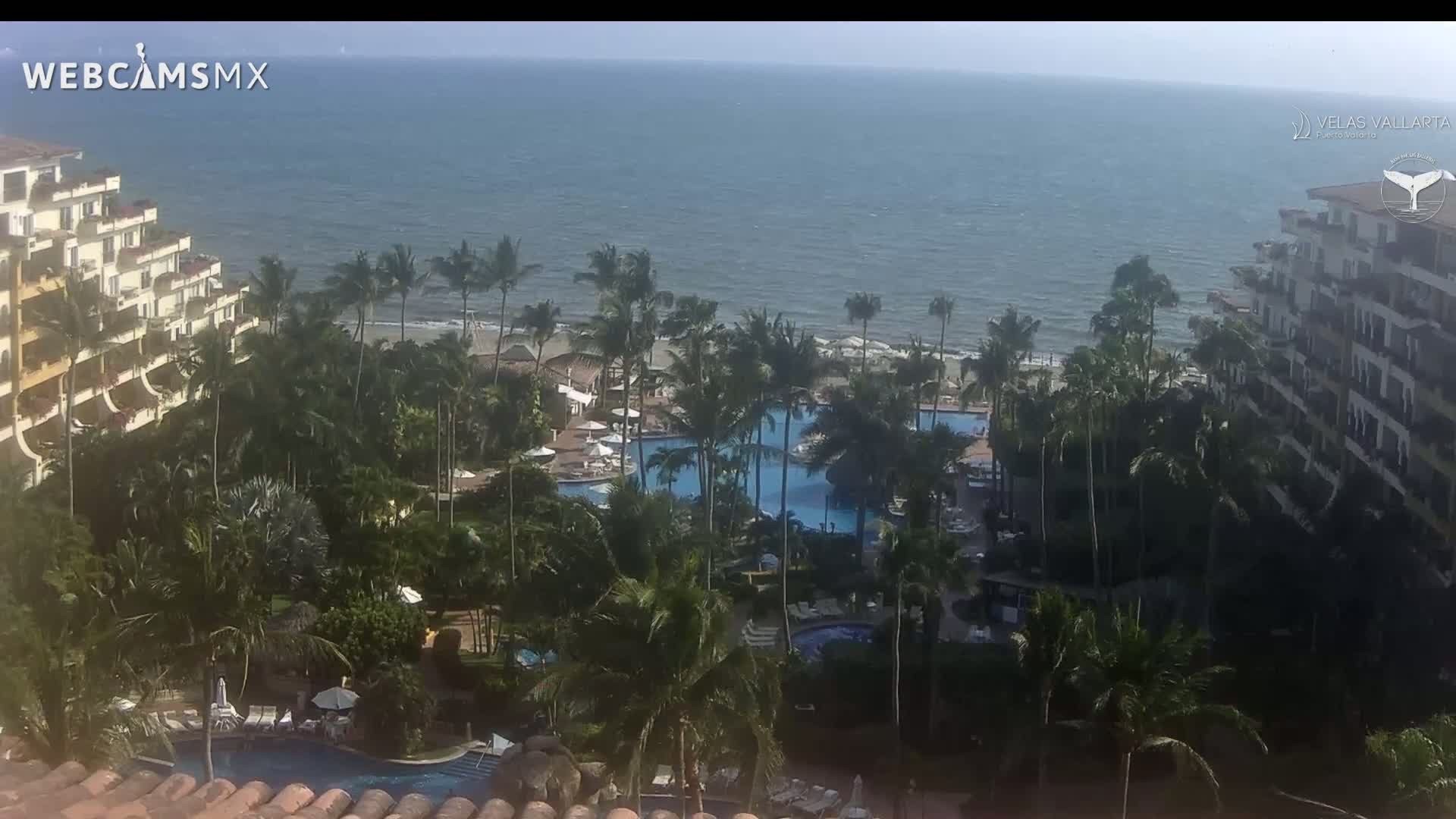 A resort with multiple pools surrounded by palm trees and beachfront buildings overlooks a calm ocean on a sunny day.