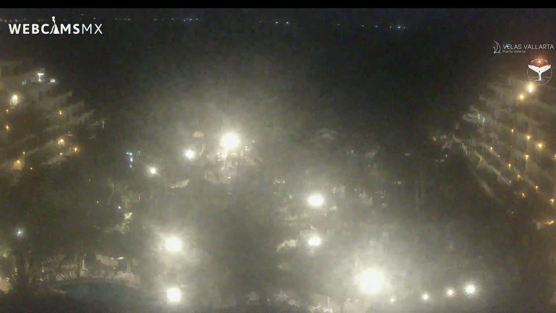 A hazy, nighttime view of illuminated buildings and trees.