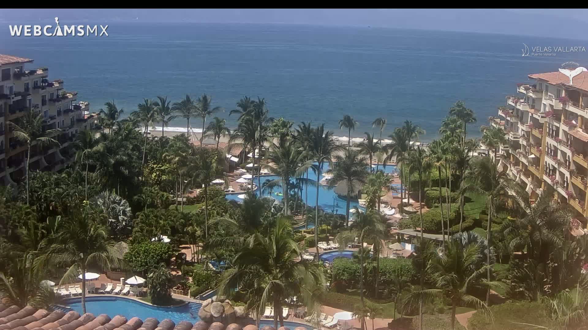 A tropical resort with multiple pools is situated on a lush, palm-tree filled landscape overlooking a calm ocean under a clear blue sky.