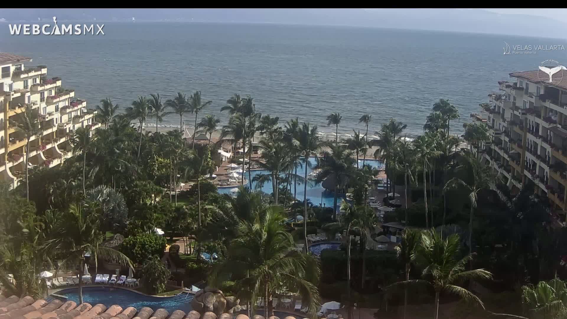 A resort with multiple pools and palm trees sits on a beach overlooking a calm ocean under a mostly clear sky.