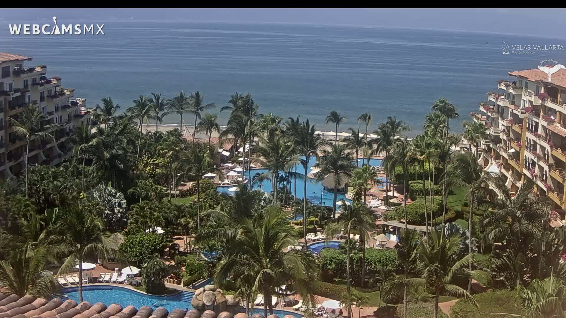 A resort with multiple pools surrounded by palm trees overlooks a calm ocean on a sunny day.