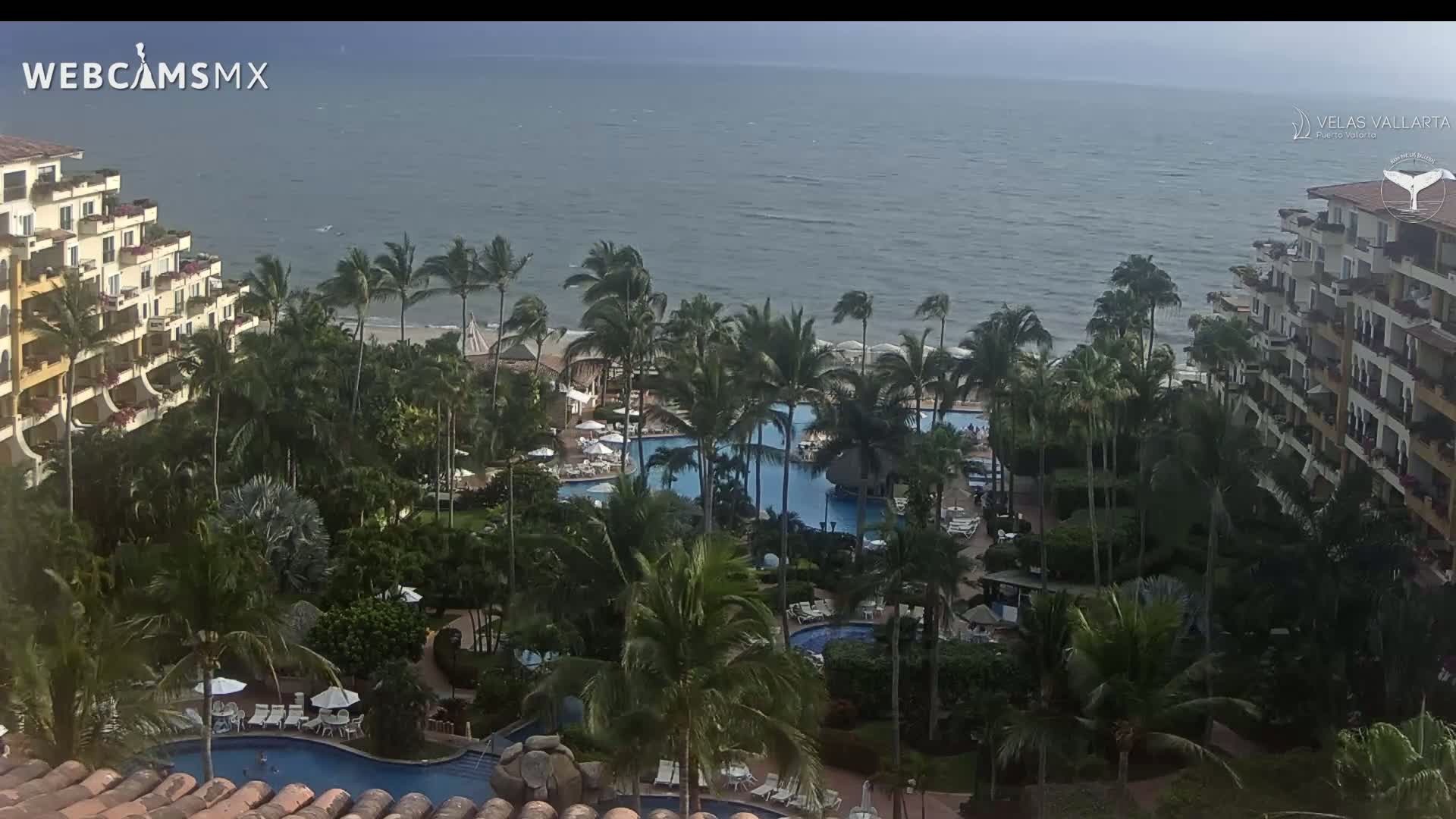 An elevated view shows a tropical resort with multiple pools surrounded by palm trees and overlooking a calm ocean under an overcast sky.