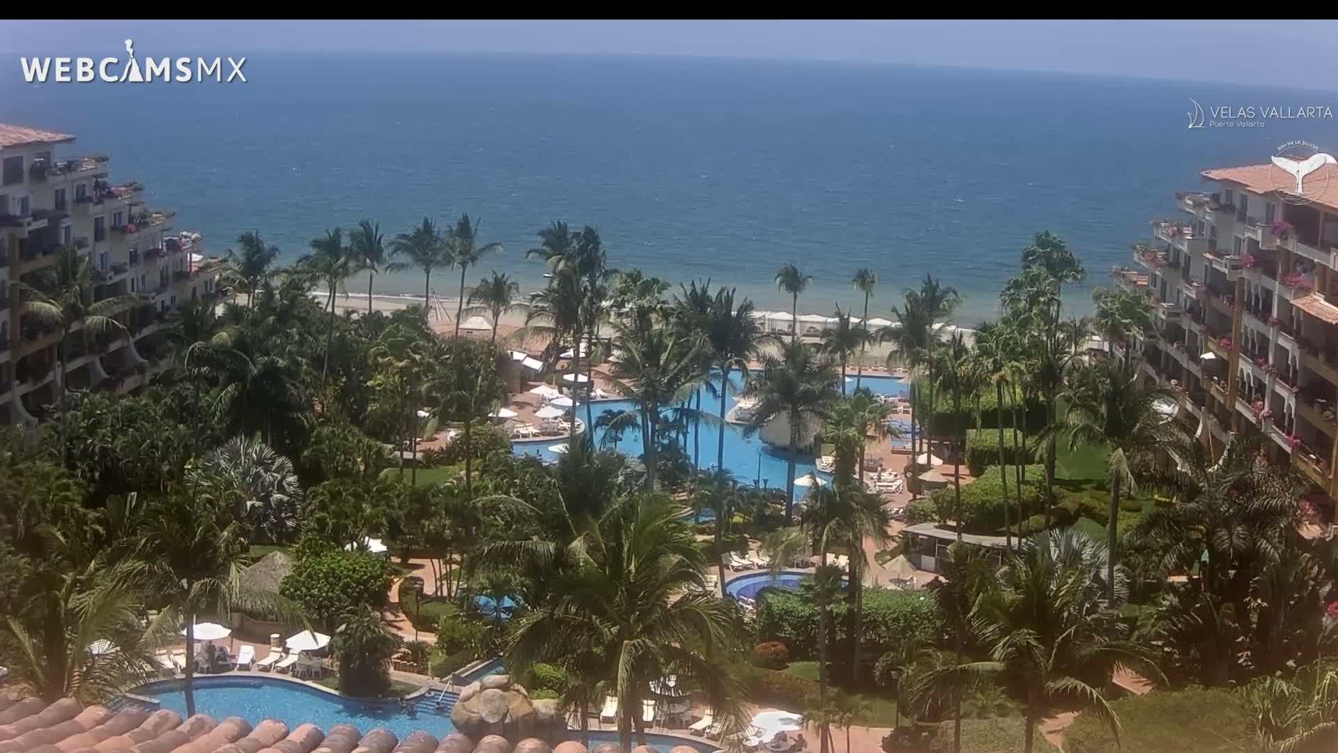 A tropical resort with multiple pools is nestled among palm trees, overlooking a calm ocean under a sunny sky.