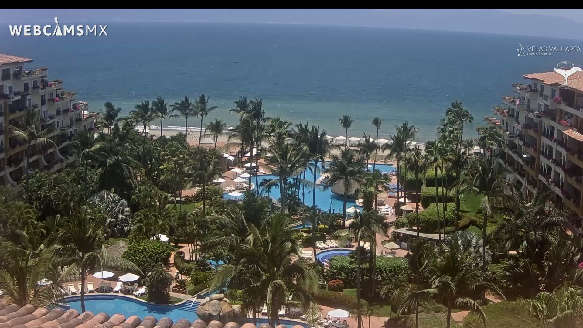 A resort with multiple pools is nestled among lush tropical landscaping, overlooking a calm ocean under a sunny sky.