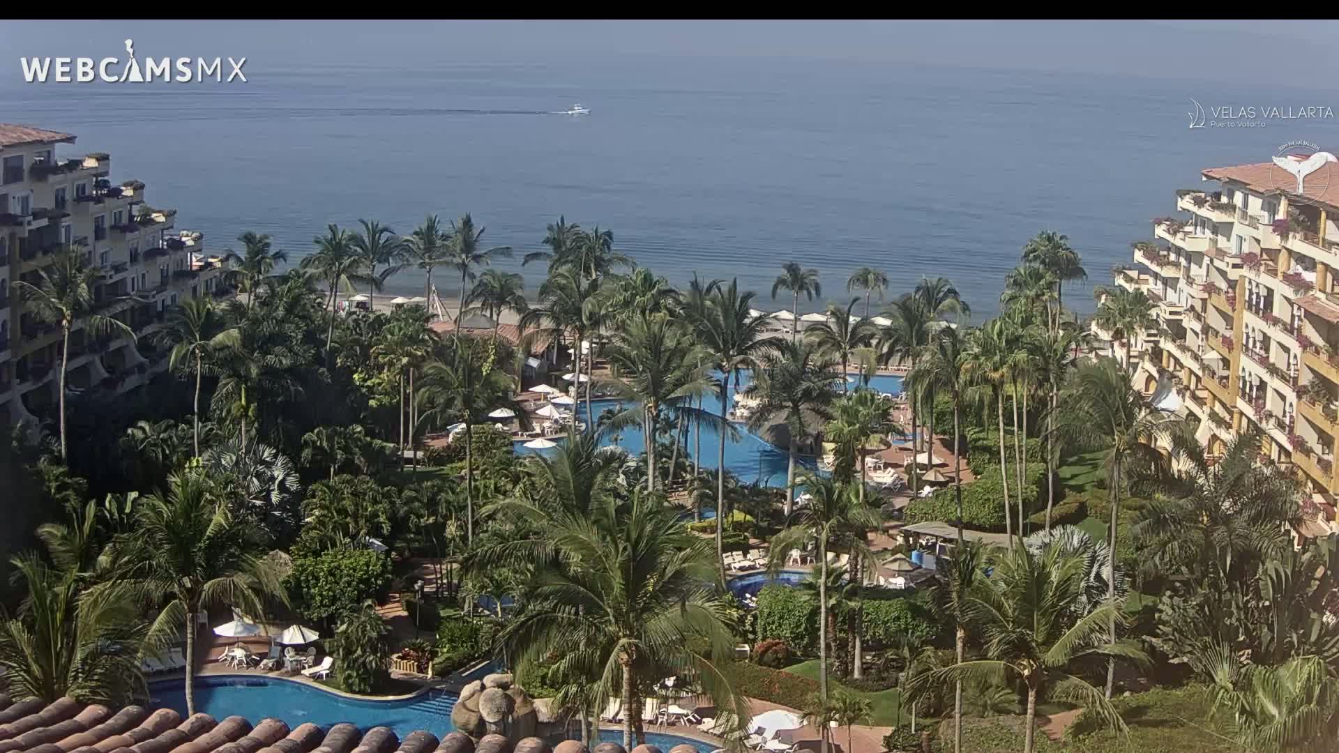 A tropical resort with multiple pools surrounded by palm trees and adjacent to a calm ocean on a clear day.