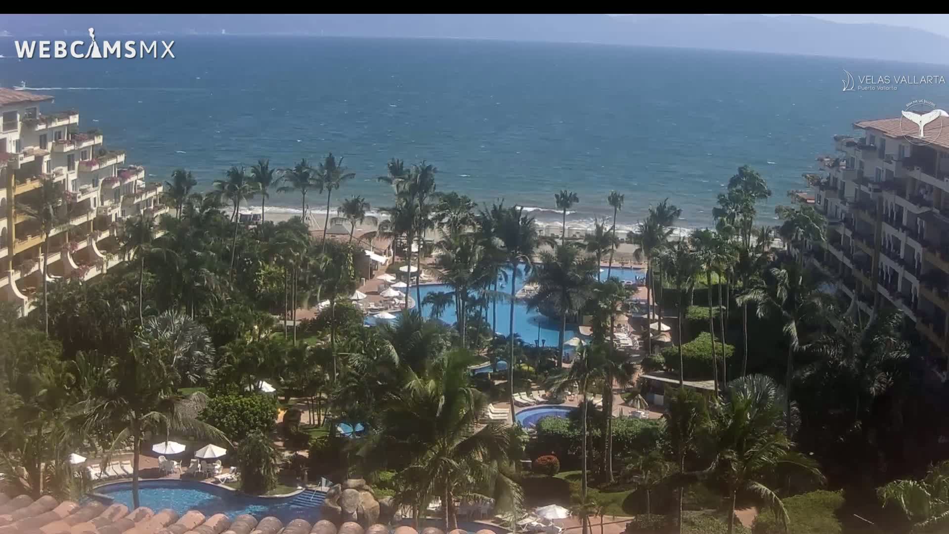 A resort with multiple pools surrounded by palm trees overlooks a windy ocean on a sunny day.