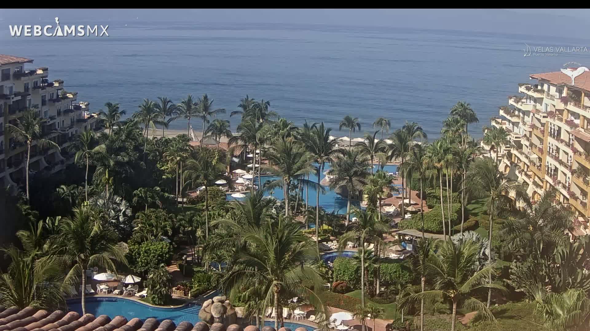 A resort with multiple pools surrounded by palm trees and buildings overlooks a calm ocean on a sunny day.