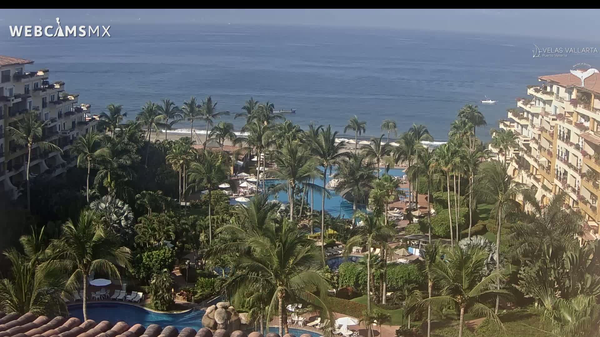 A tropical resort with multiple pools surrounded by palm trees overlooks a calm ocean on a clear day.