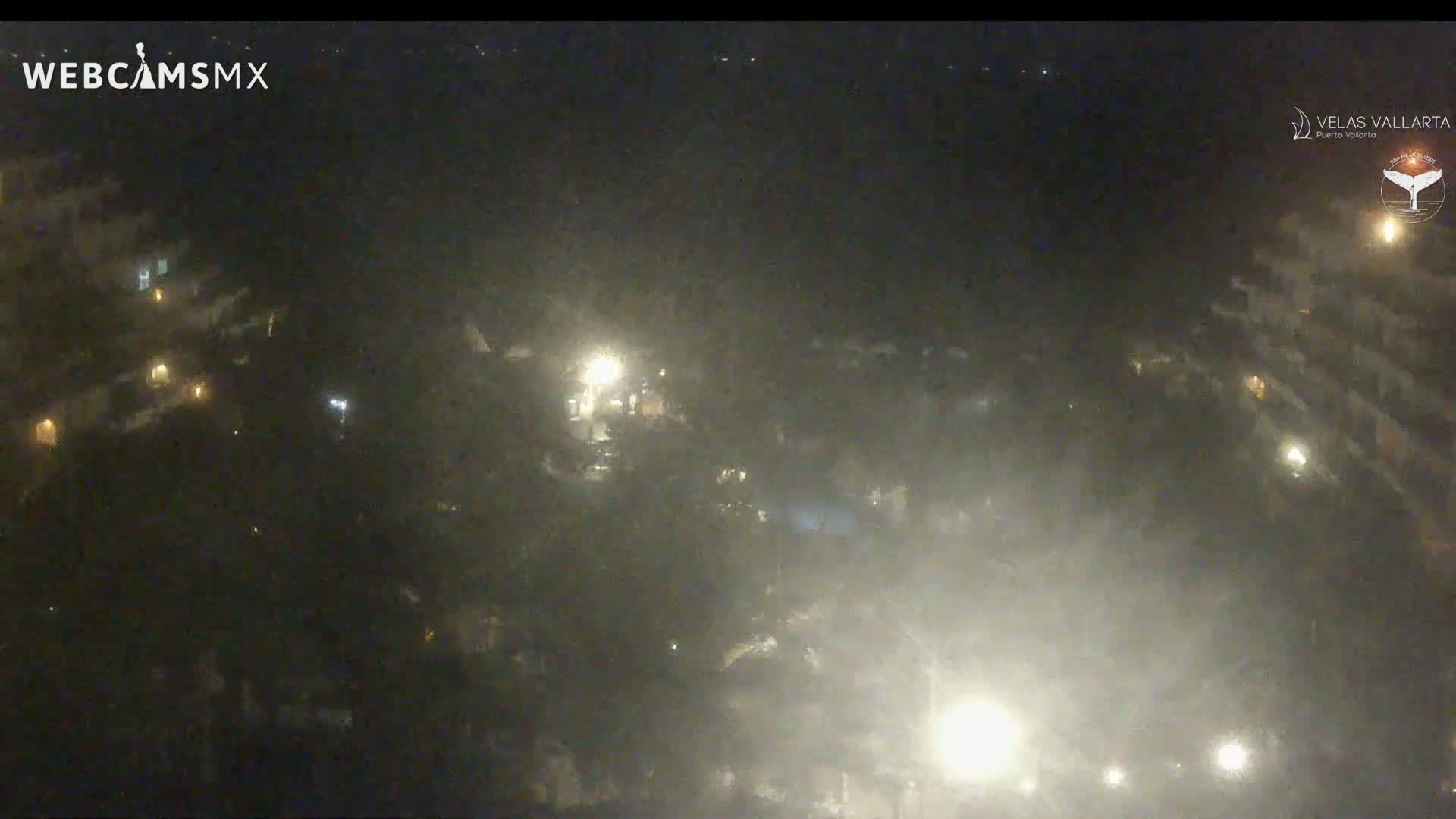 A hazy night scene shows a collection of buildings and trees illuminated by scattered lights.
