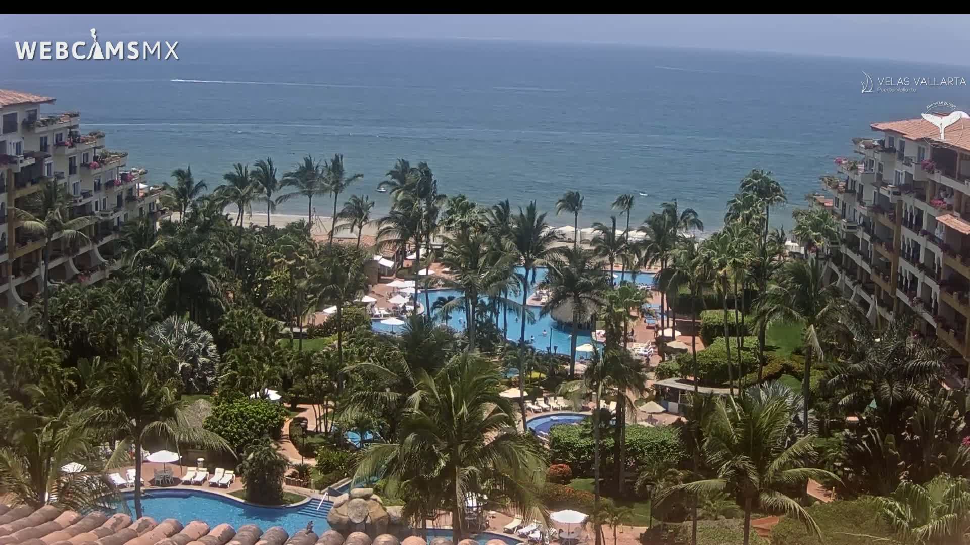 An aerial view shows a tropical resort with multiple pools surrounded by palm trees, situated next to a calm ocean under a sunny sky.
