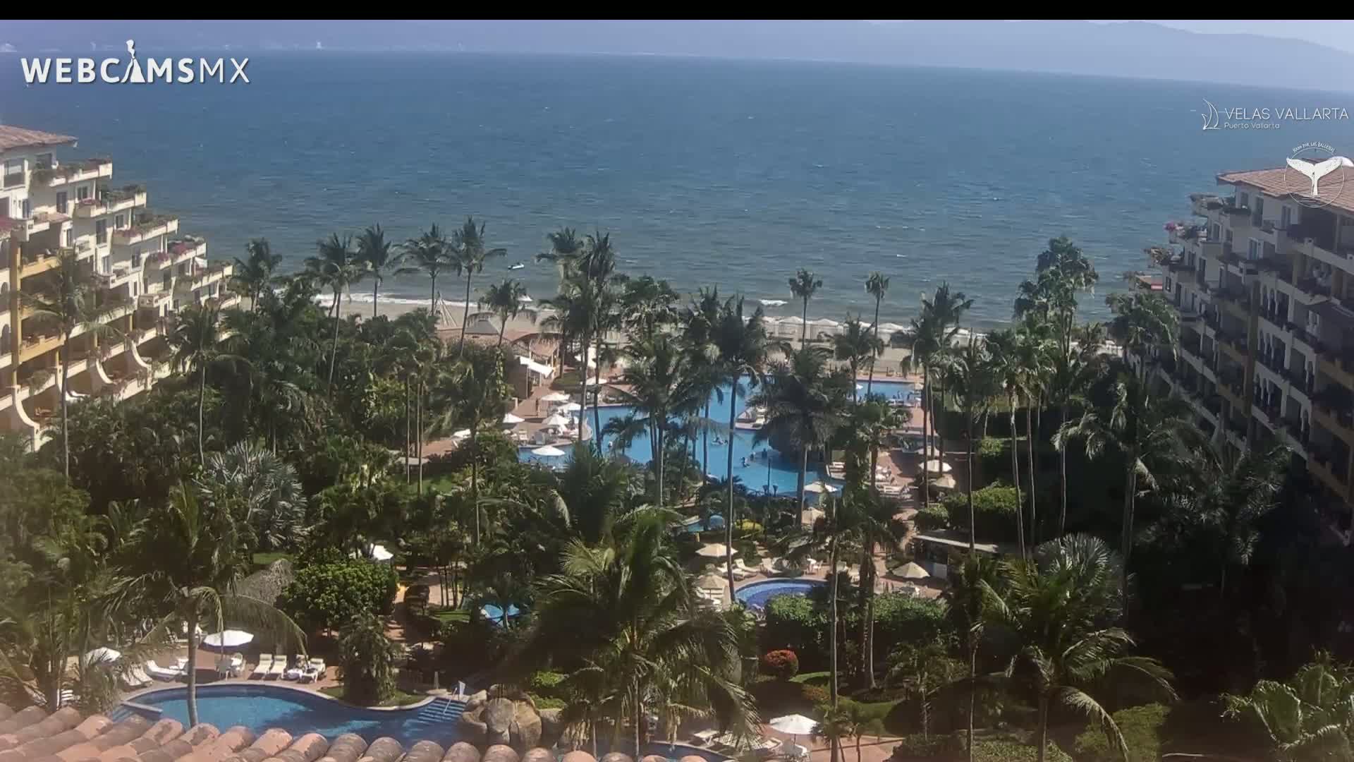 An aerial view of a resort with multiple pools and palm trees, situated on a beach with a calm ocean under sunny skies.
