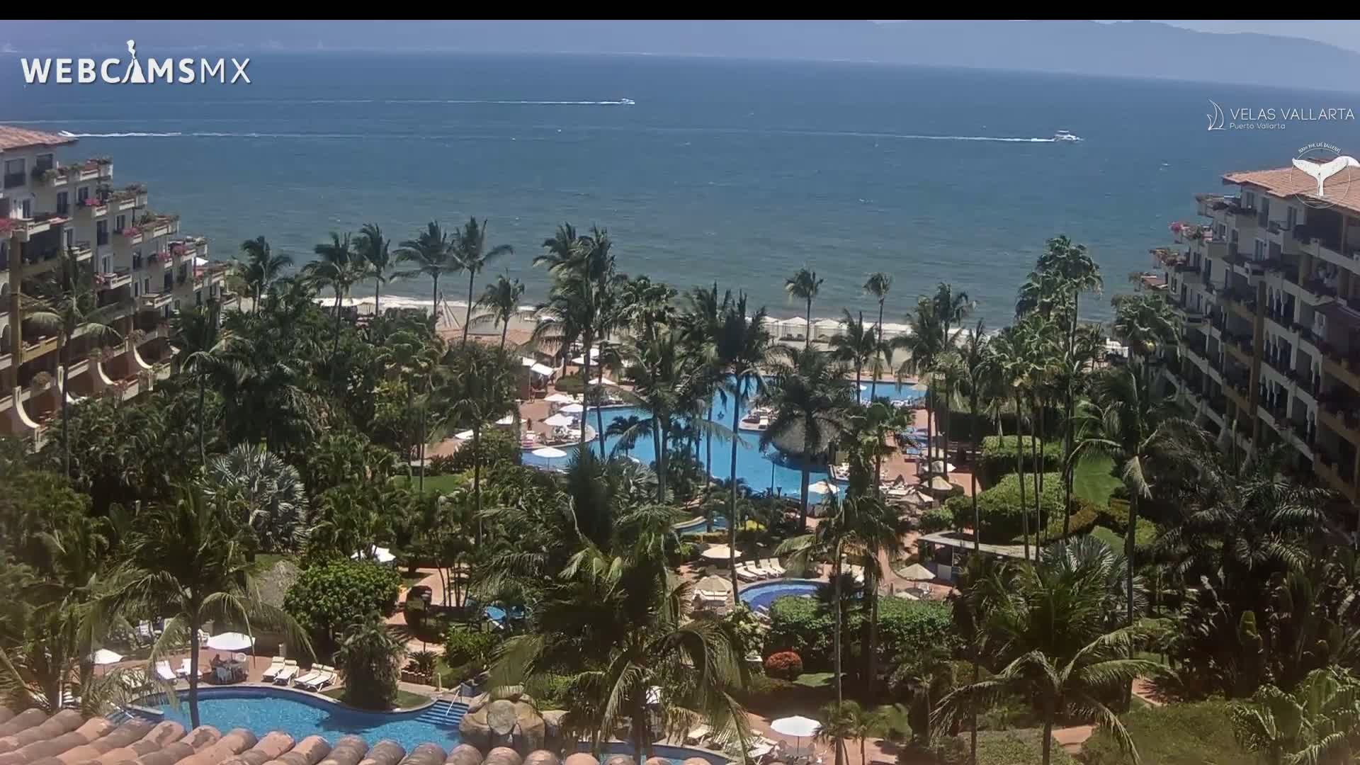 A resort with multiple pools surrounded by palm trees sits on a beach overlooking a calm ocean under a sunny sky.