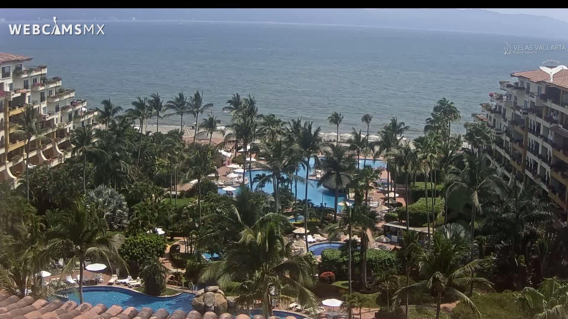 A resort with multiple pools surrounded by lush tropical landscaping sits on a beach overlooking a calm ocean under a sunny sky.