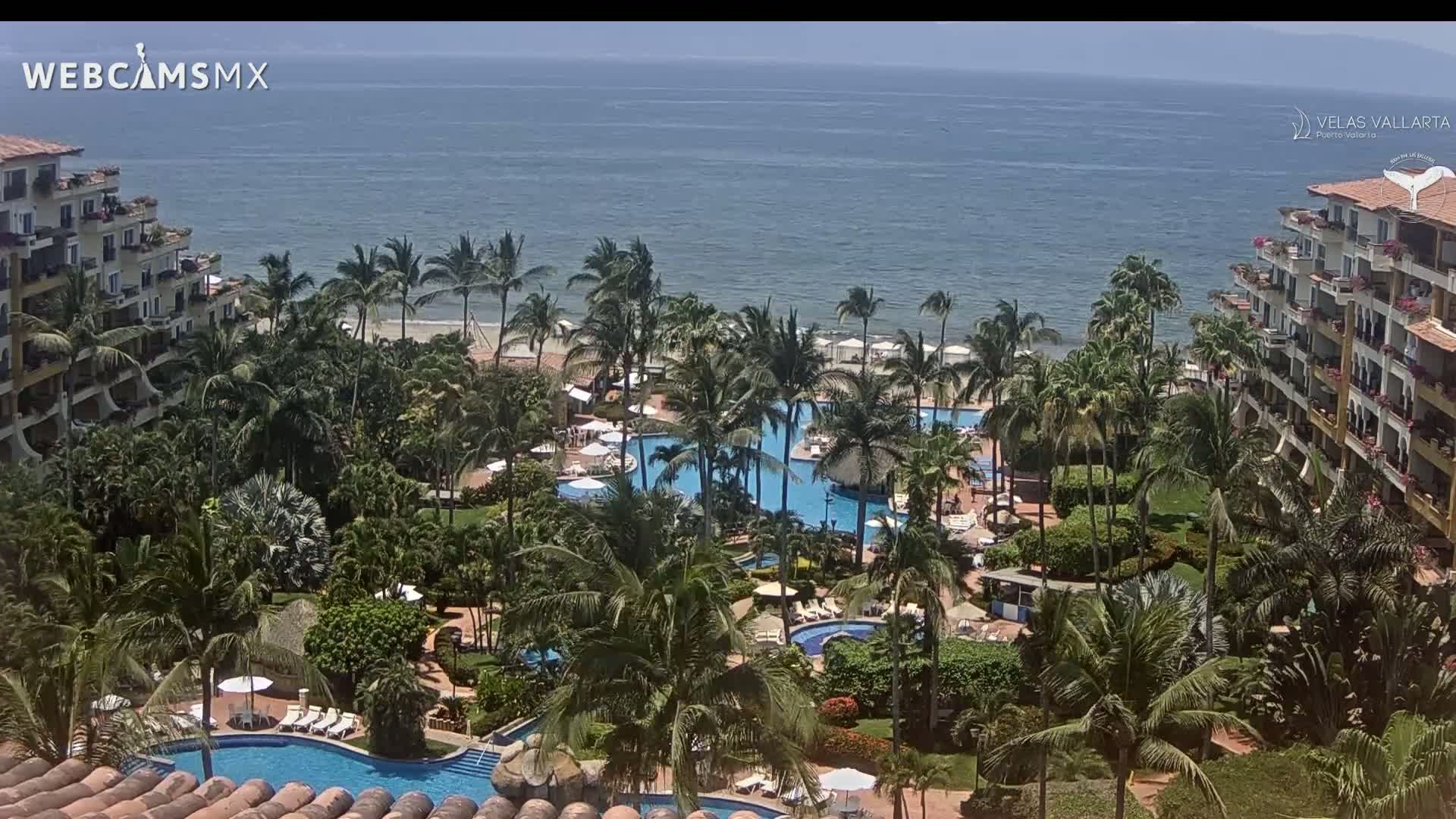 A tropical resort with multiple pools and palm trees sits on a beach overlooking a calm ocean under a sunny sky.