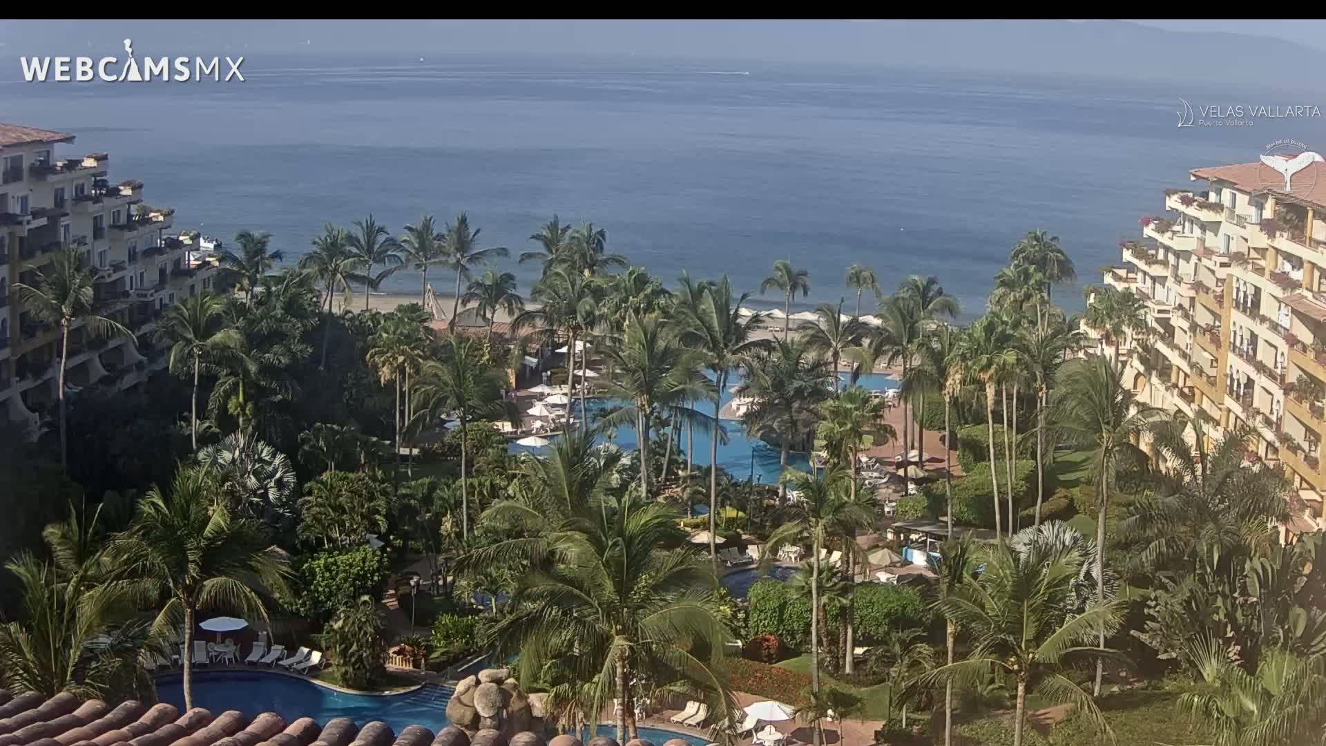 A tropical resort with multiple pools and palm trees overlooks a calm ocean on a clear day.