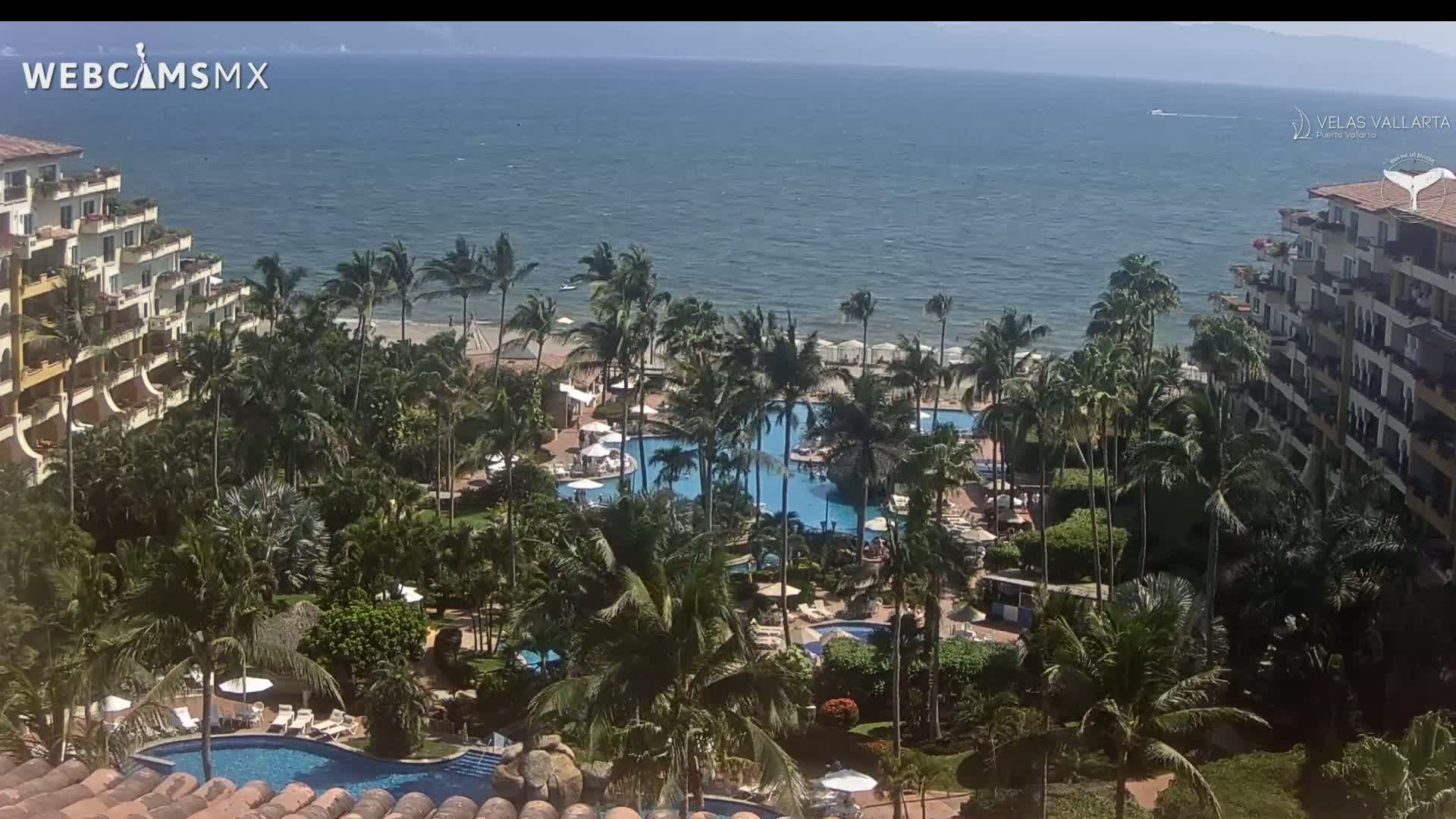 Puerto Vallarta Playa Bocanegra Beach Live Cam - Puerto Vallarta, Jalisco, Mexico