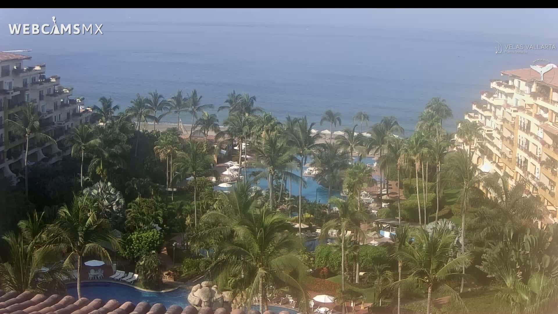 A tropical resort with multiple pools, surrounded by palm trees and buildings, overlooks a calm ocean on a clear day.