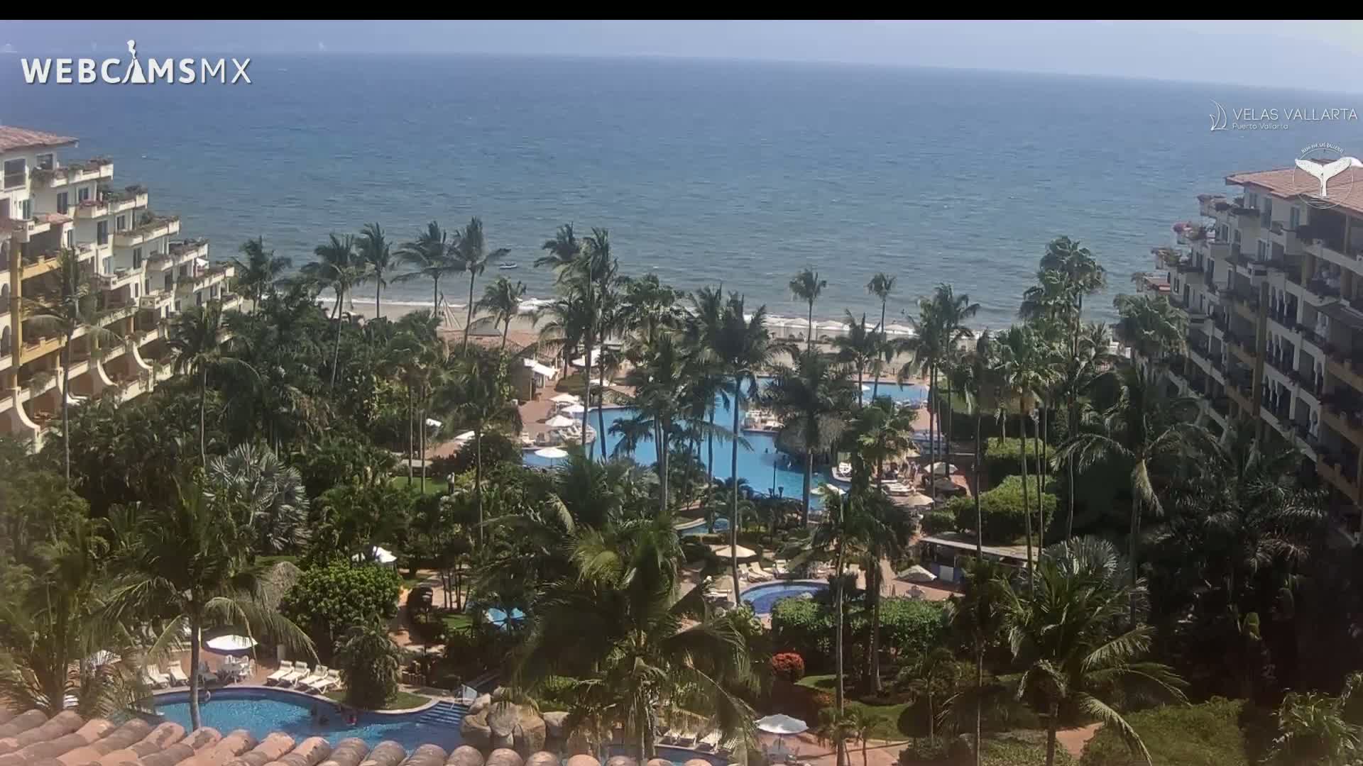 A resort with multiple pools is nestled among palm trees, overlooking a calm ocean on a sunny day.