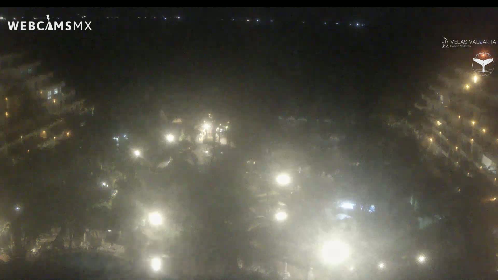 A hazy night scene shows a collection of buildings with scattered lights amidst a dense collection of trees.