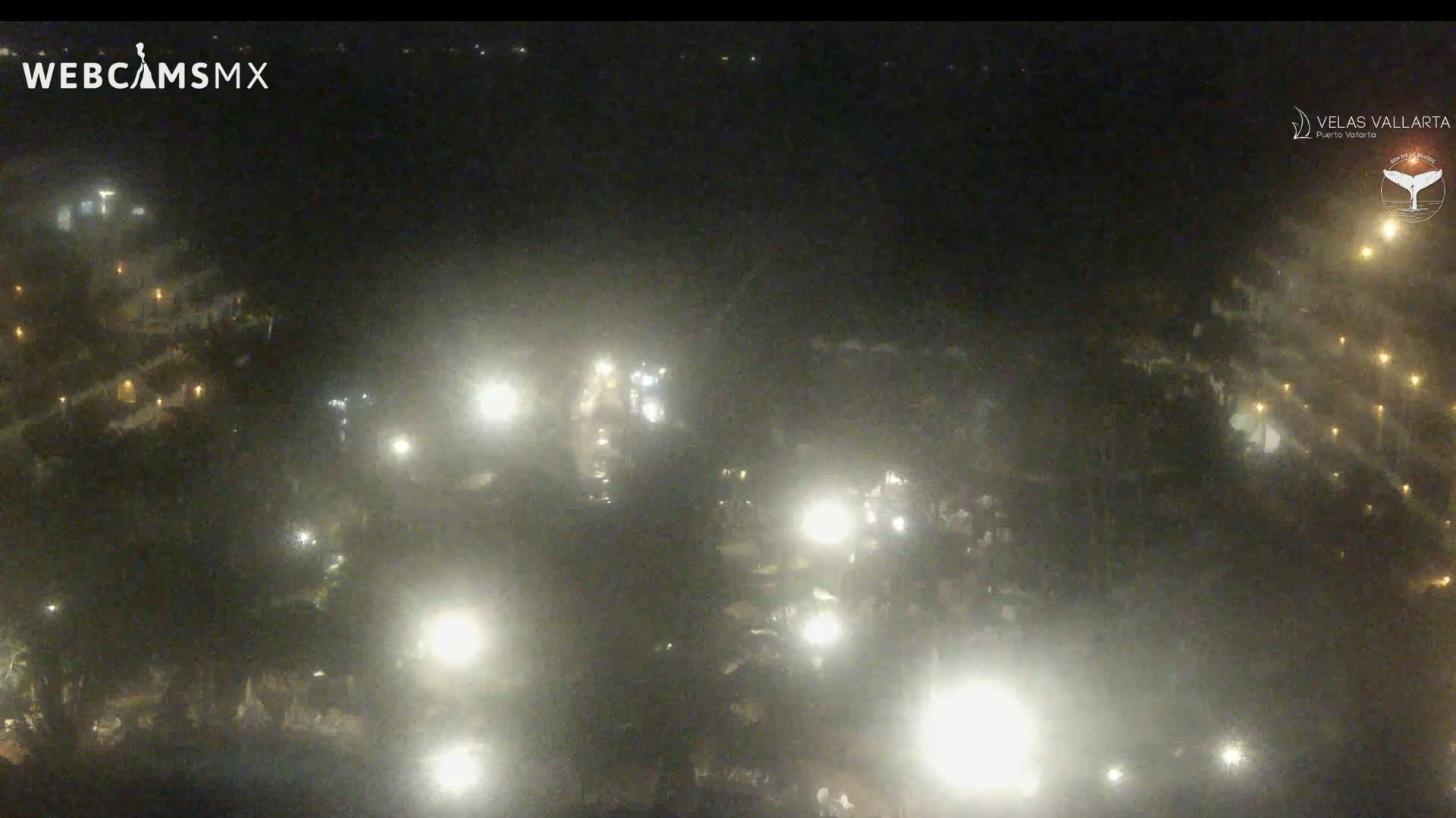 A hazy night scene shows numerous lights scattered across a dark, possibly wooded area.