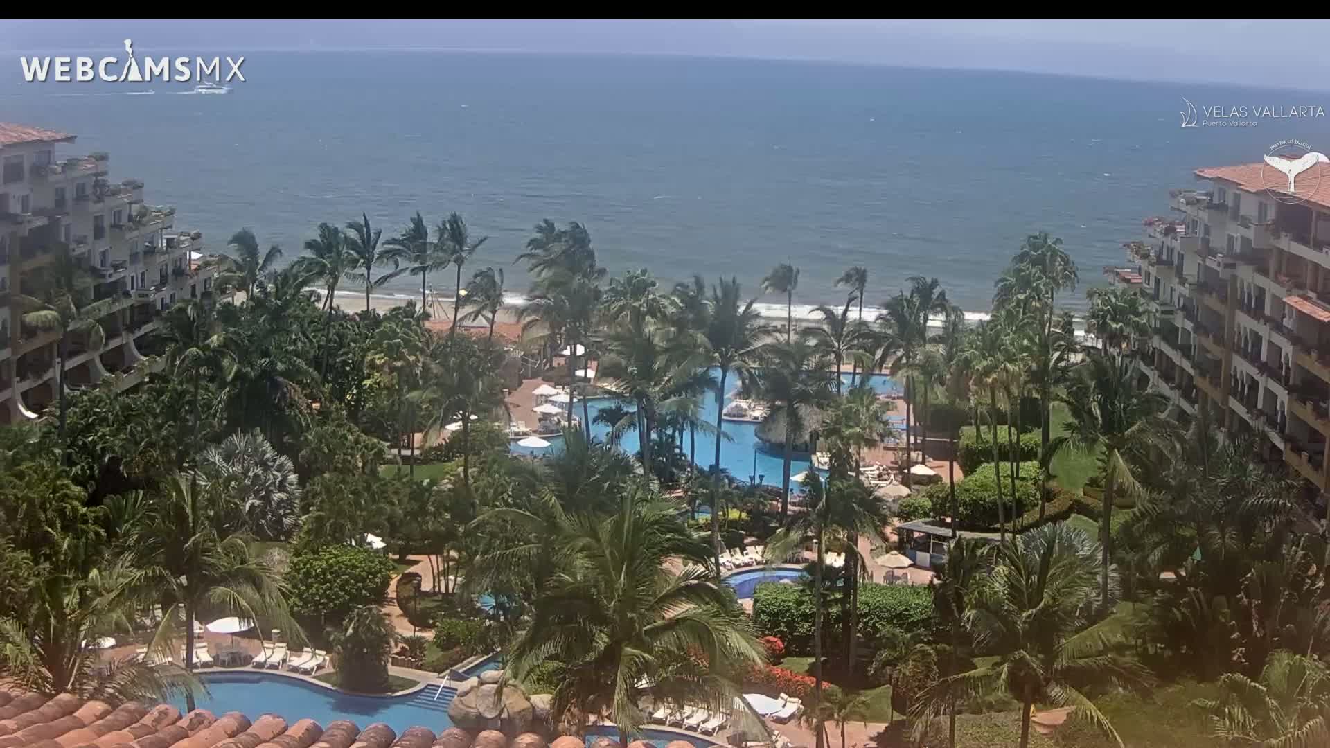 A resort with multiple pools surrounded by palm trees overlooks a windy ocean.