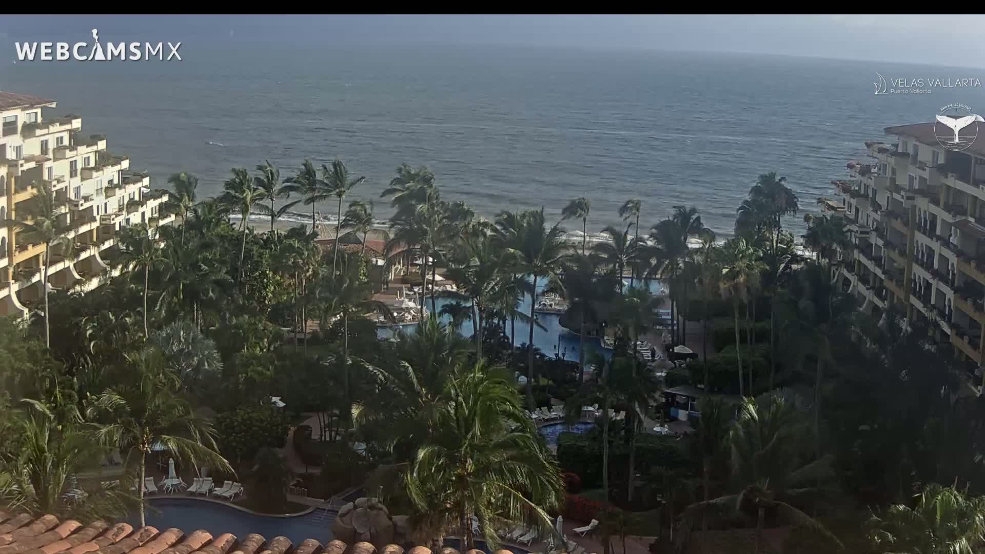 A resort with multiple pools surrounded by palm trees overlooks a windy ocean.