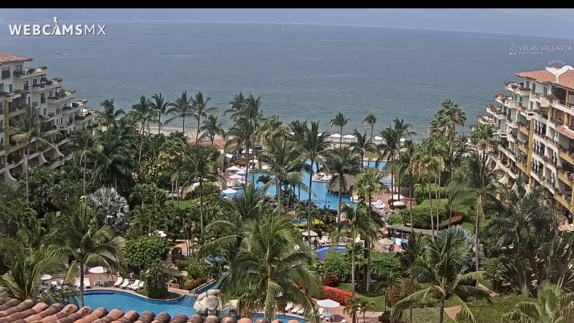 A tropical resort with multiple pools is nestled among lush palm trees and overlooks a calm ocean.