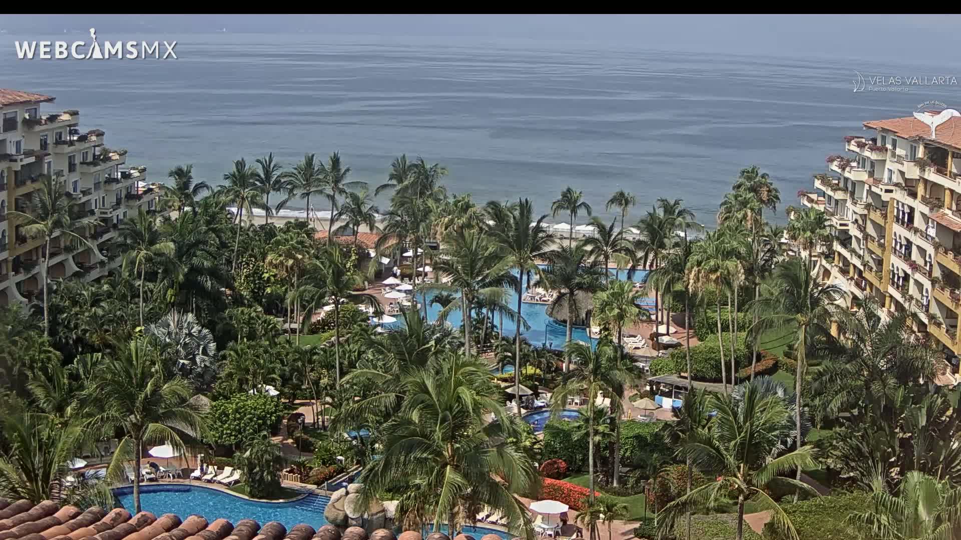 A tropical resort with multiple pools is nestled among palm trees, overlooking a calm ocean on a sunny day.
