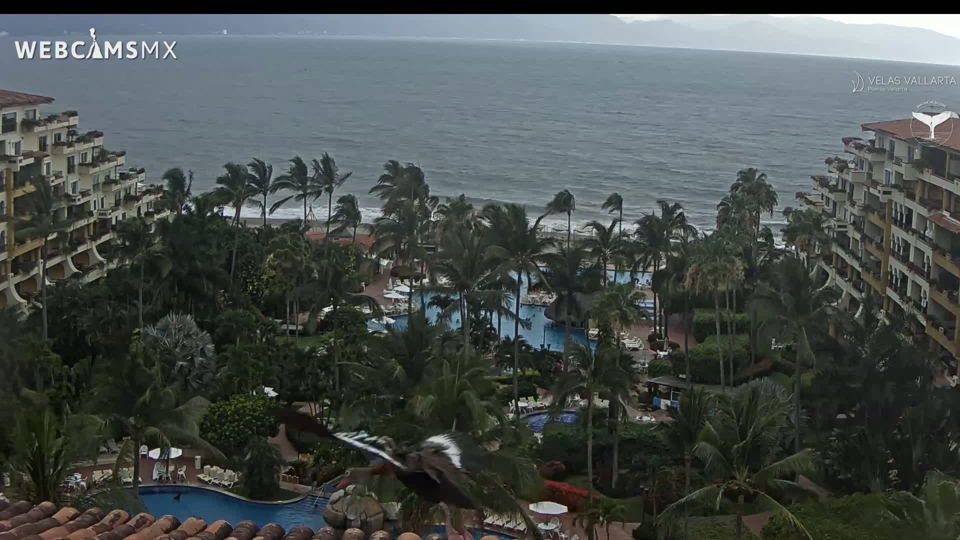 Puerto Vallarta Playa Bocanegra Beach Live Cam - Puerto Vallarta, Jalisco, Mexico