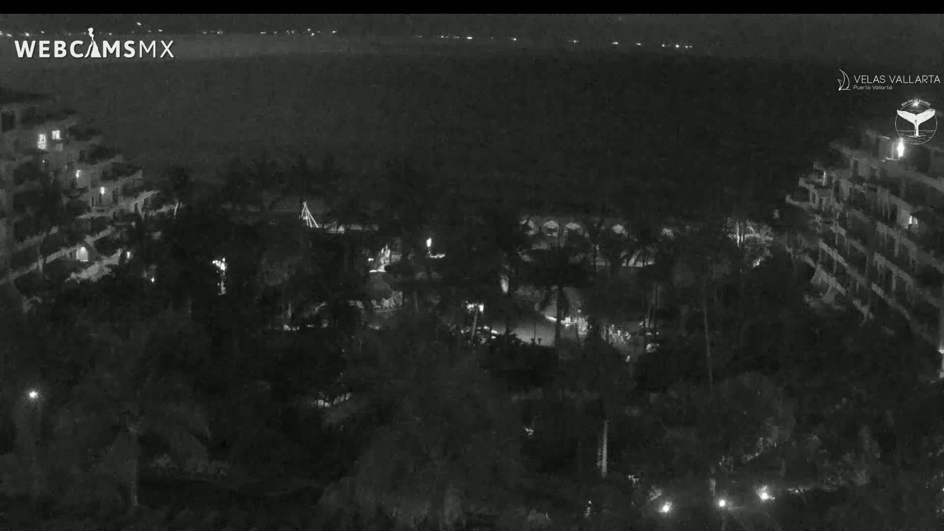 A nighttime, high-angle view shows a resort with buildings and palm trees illuminated by scattered lights, overlooking a dark body of water.